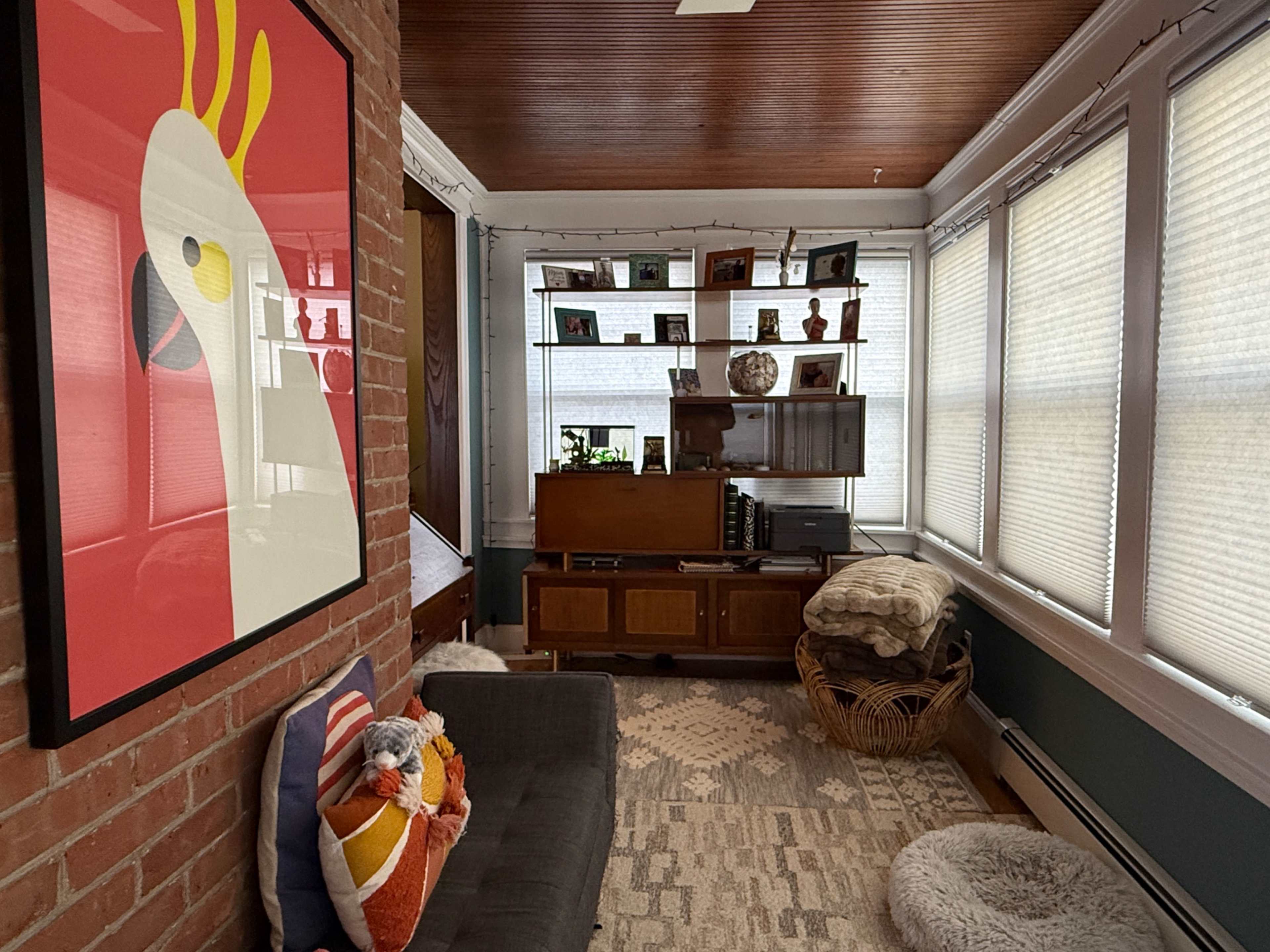 The room features a gray sofa, a large framed artwork of a chicken on the wall, and wooden shelves displaying various items, with natural light streaming through multiple windows.