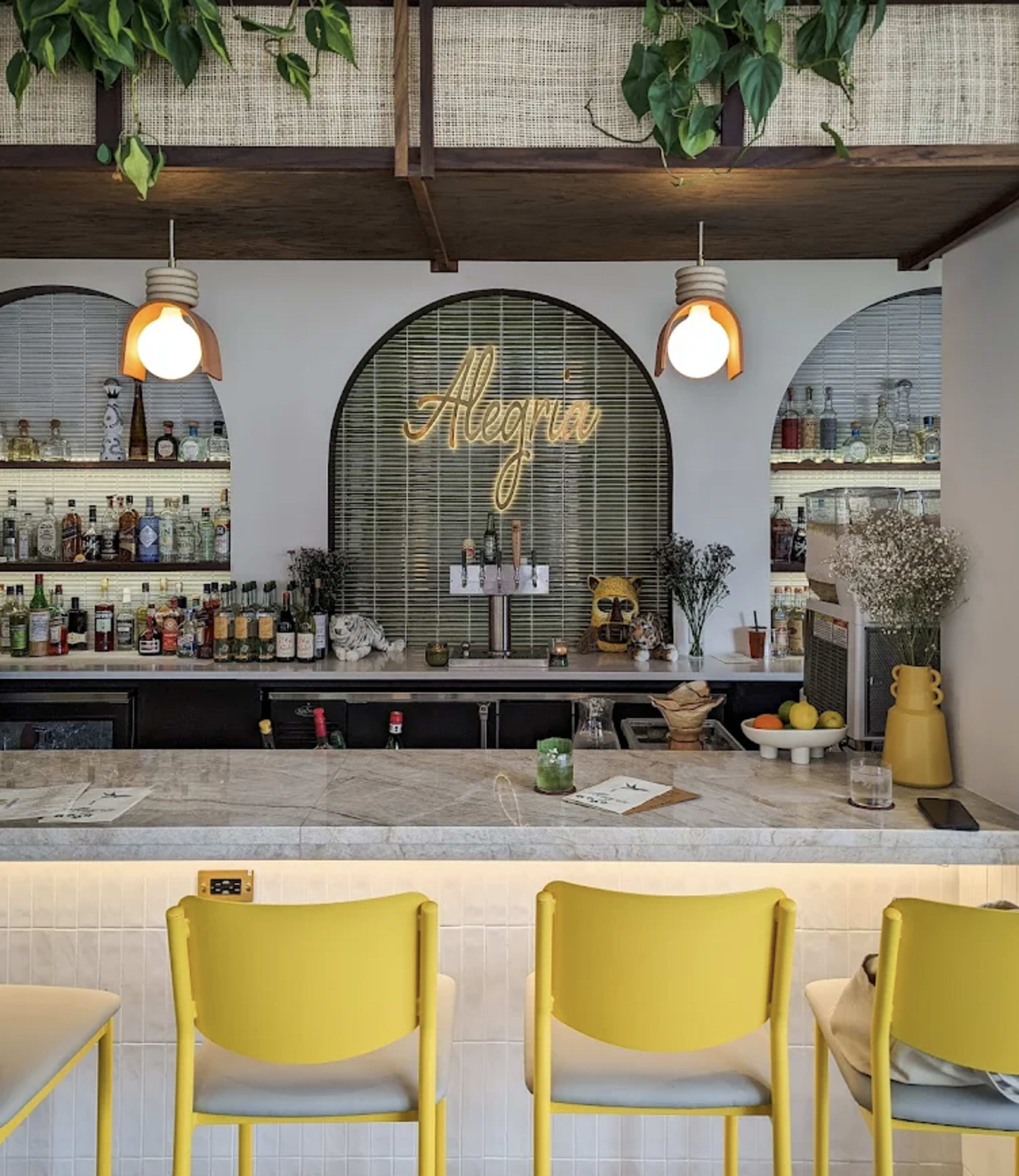 Lively Margarita Cocktail Bar with Bright Modern Design Image in Northeast Washington, Washington, DC