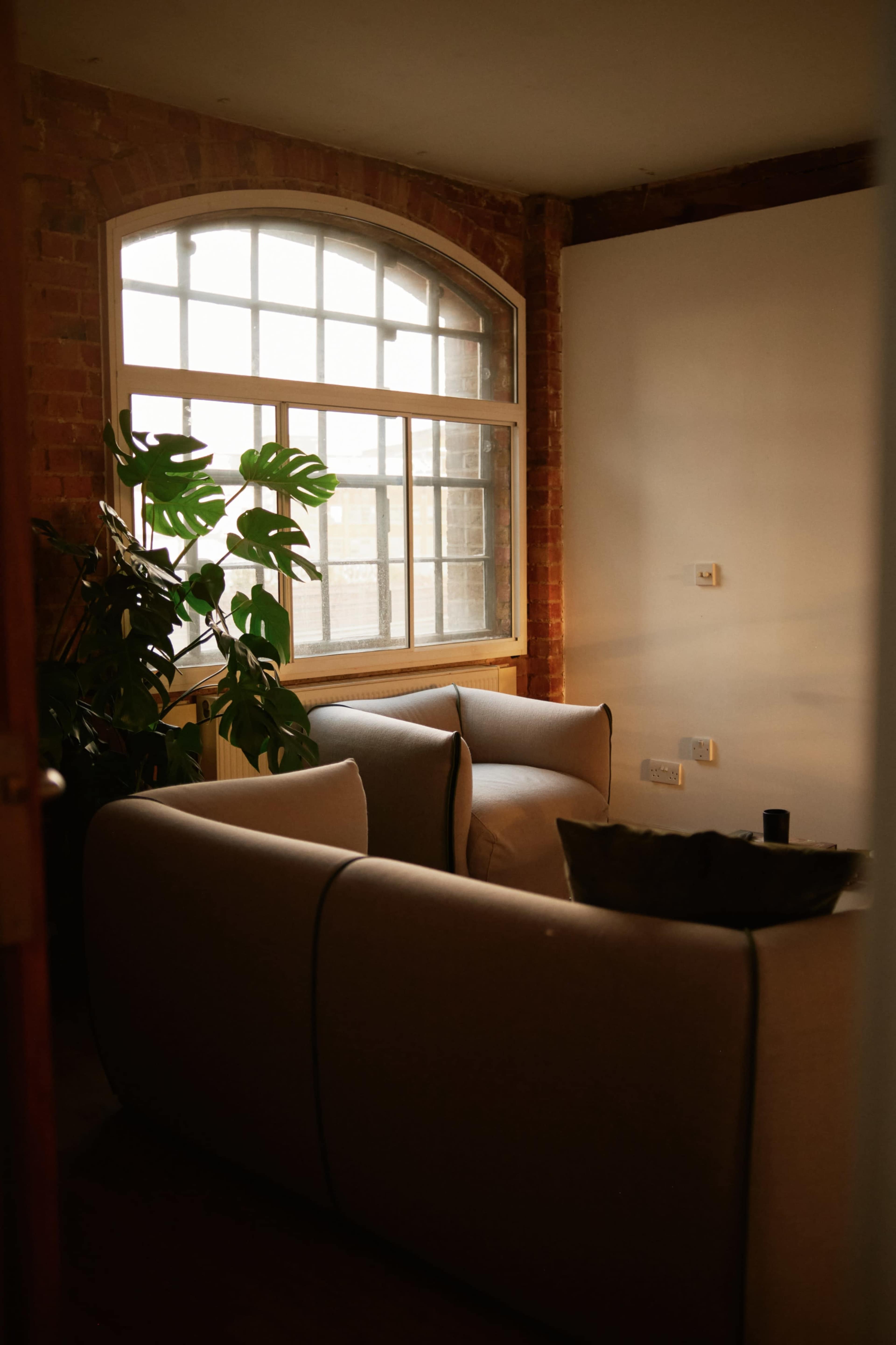 The image shows a cozy corner of a room featuring a modern sofa and a large window with natural light filtering in, accompanied by a potted plant nearby.