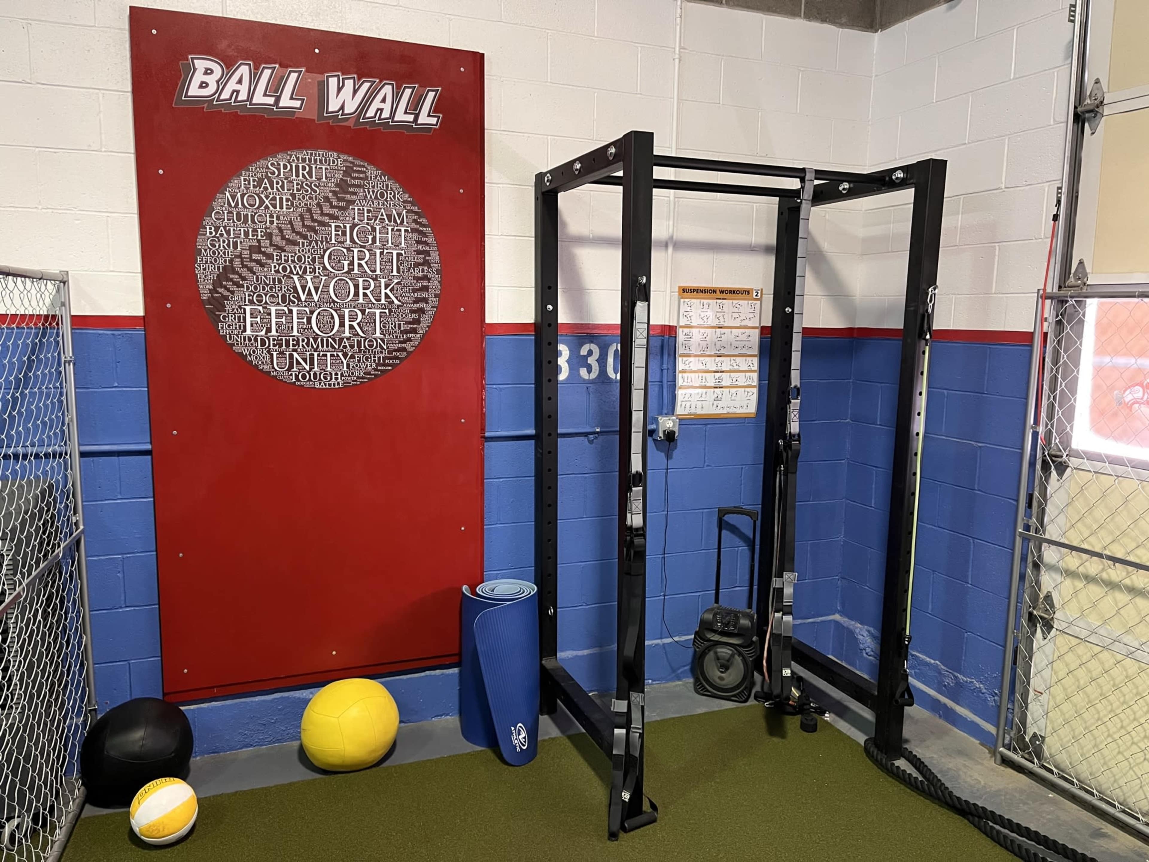 A gym corner featuring a wall-mounted ball wall, a pull-up rig, and various fitness equipment on the floor.