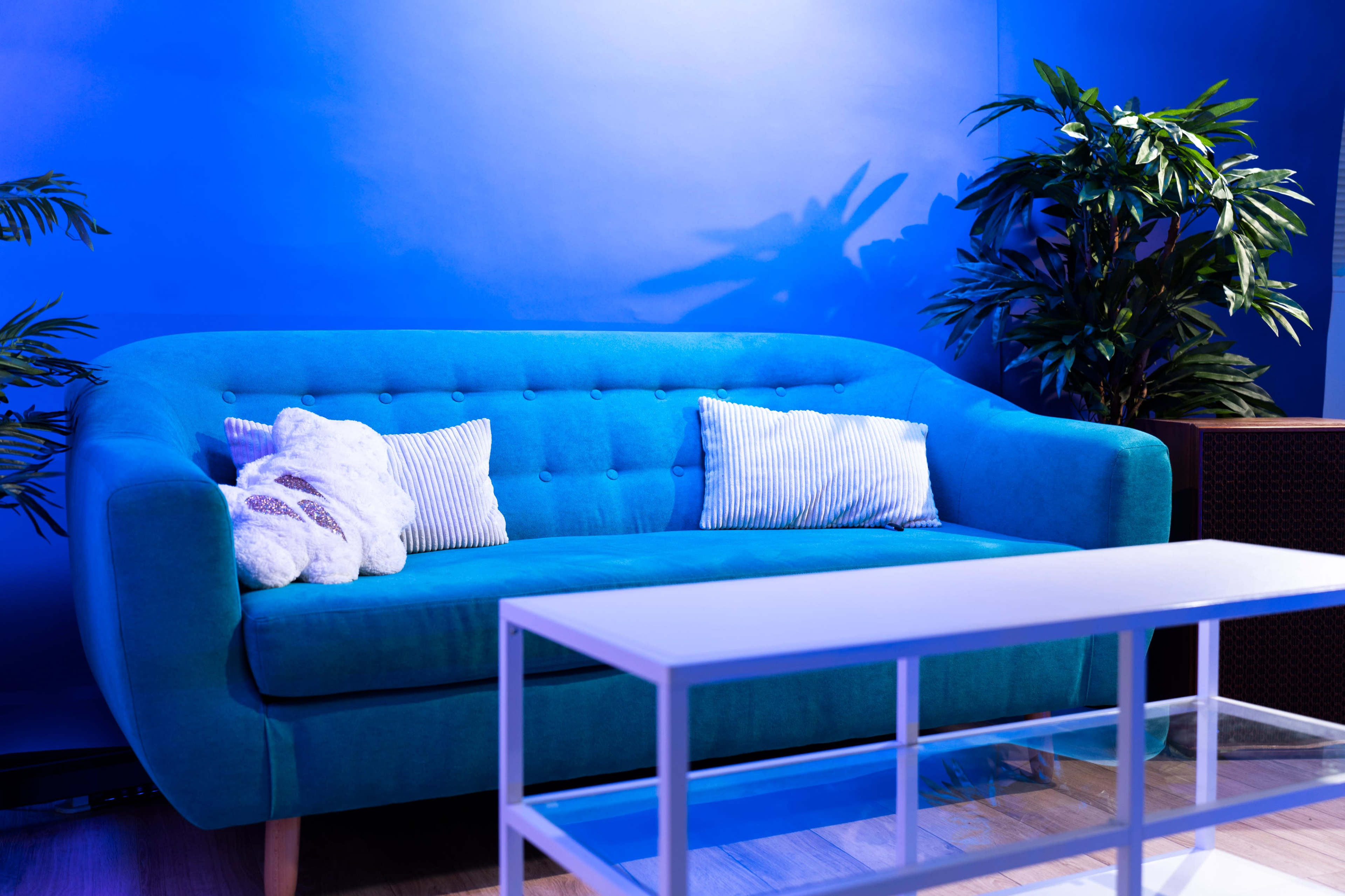 A teal couch with two striped pillows and a white stuffed animal, positioned next to a glass coffee table and surrounded by green plants against a blue wall.