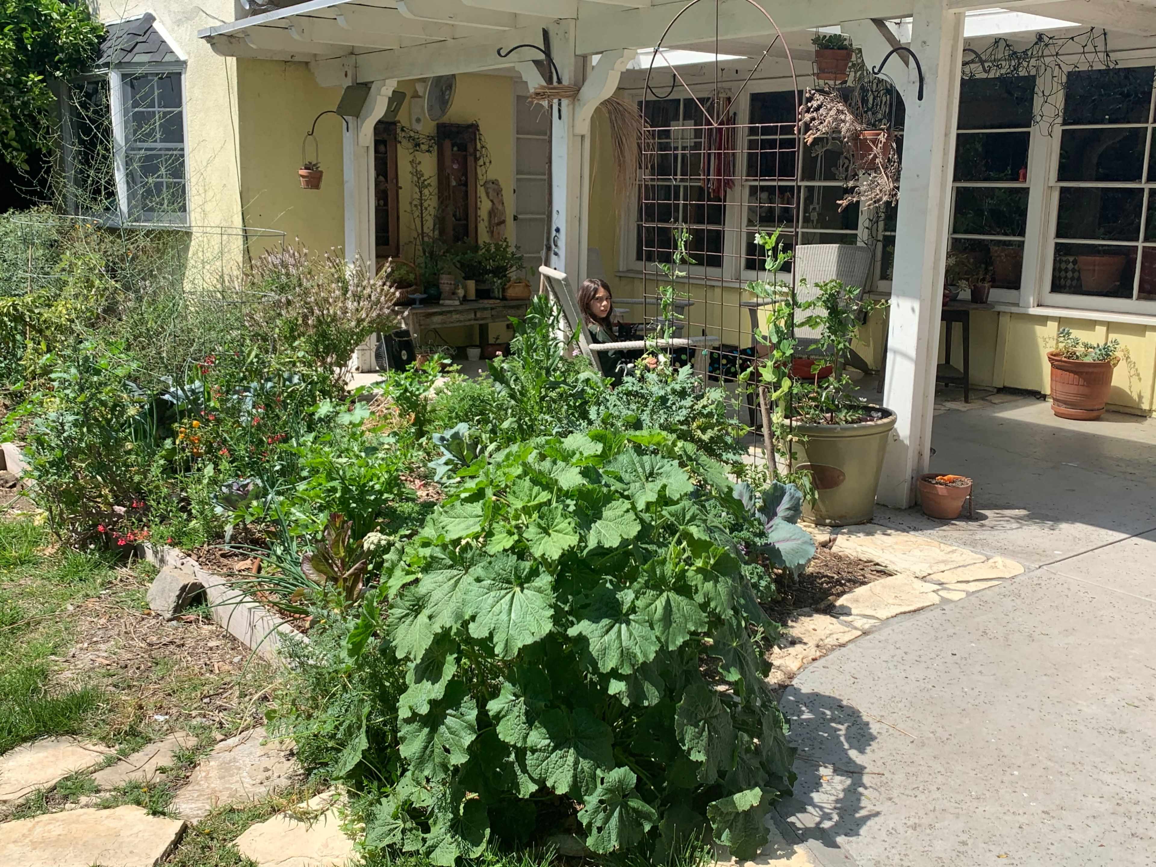 A garden filled with various plants and vegetables is situated in front of a yellow house with large windows and a covered porch.