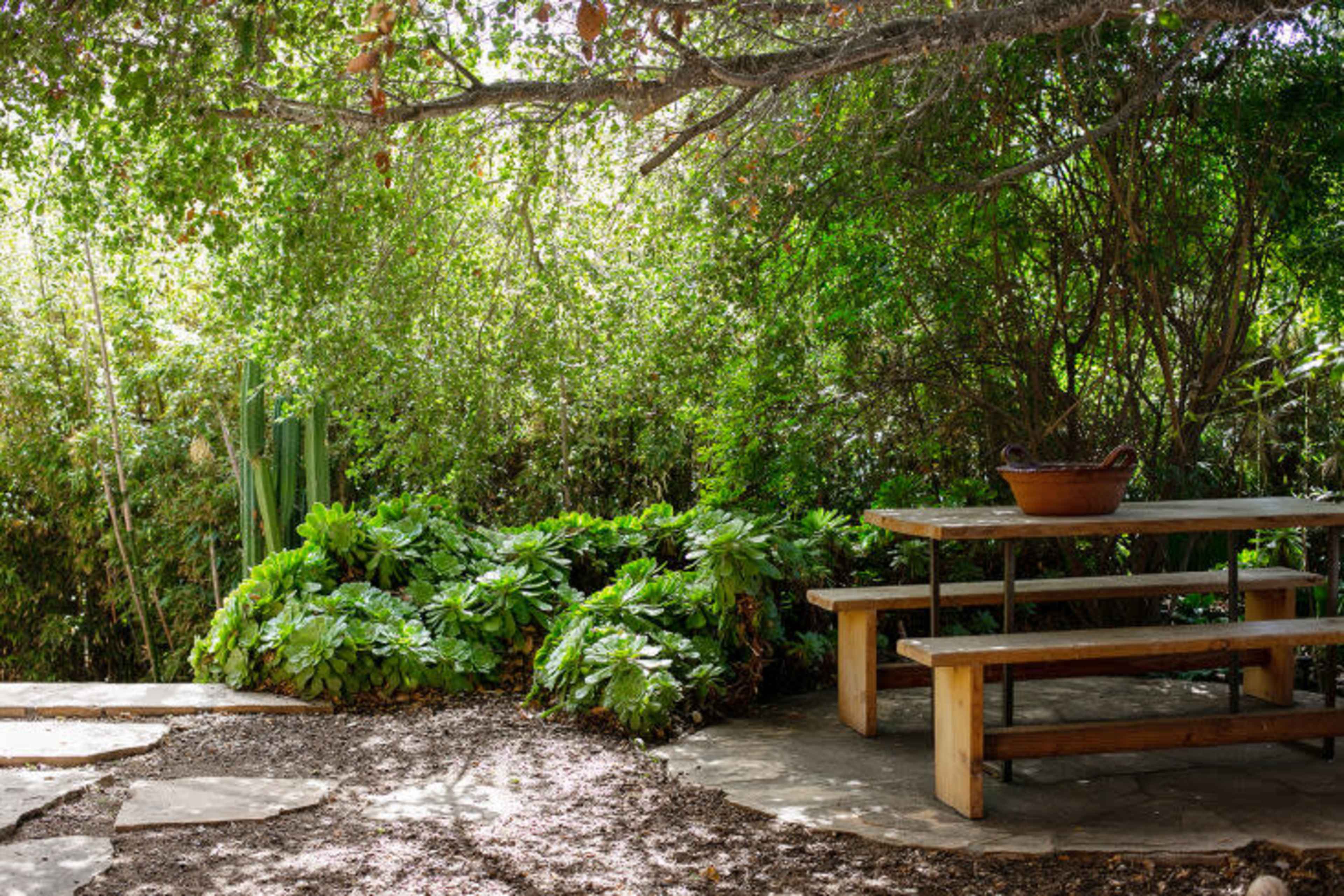A wooden picnic table sits on a stone patio surrounded by lush greenery and shade.