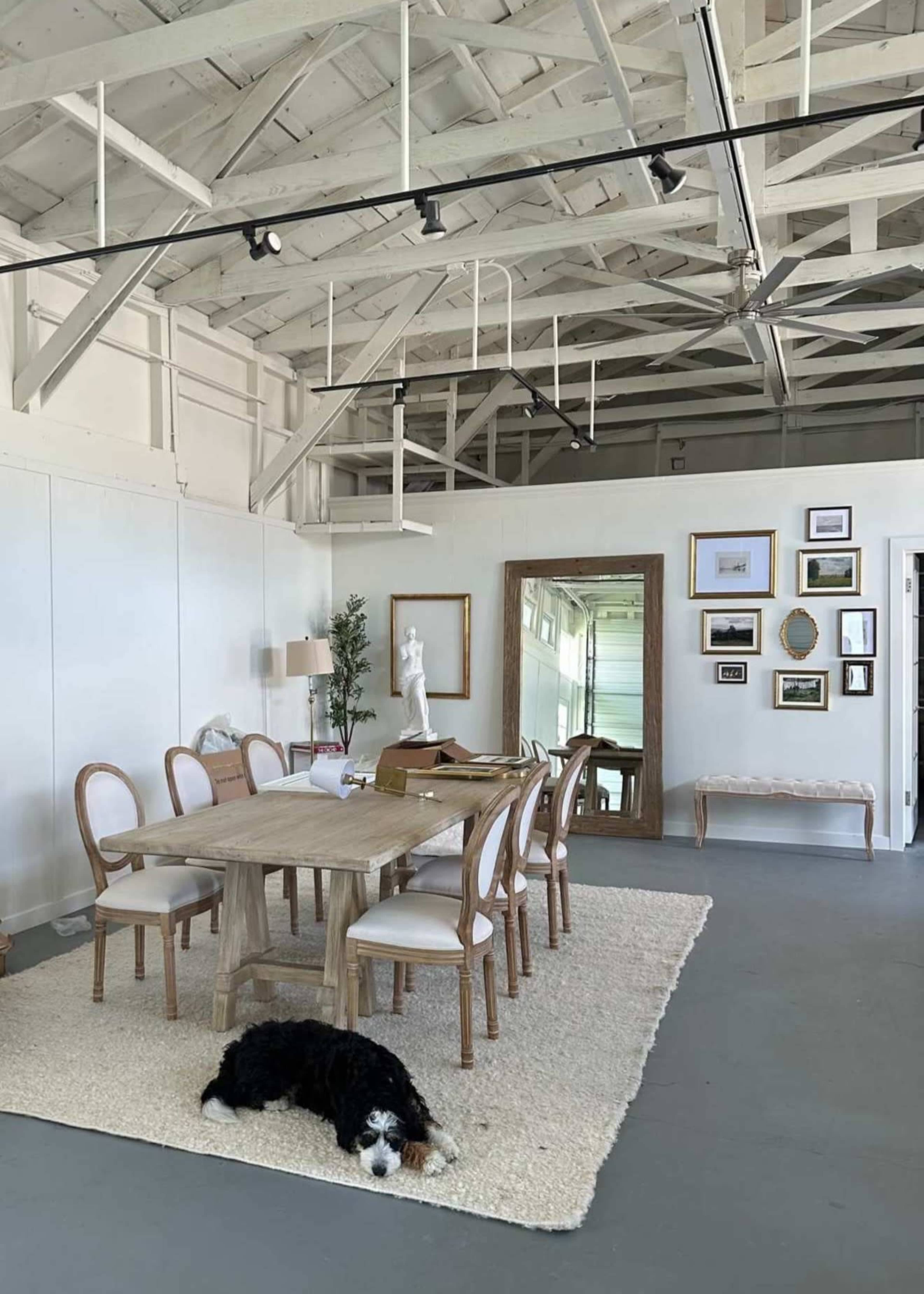 A spacious, airy room features a wooden dining table with six chairs, a plush rug, a large mirror, and a dog resting on the floor.