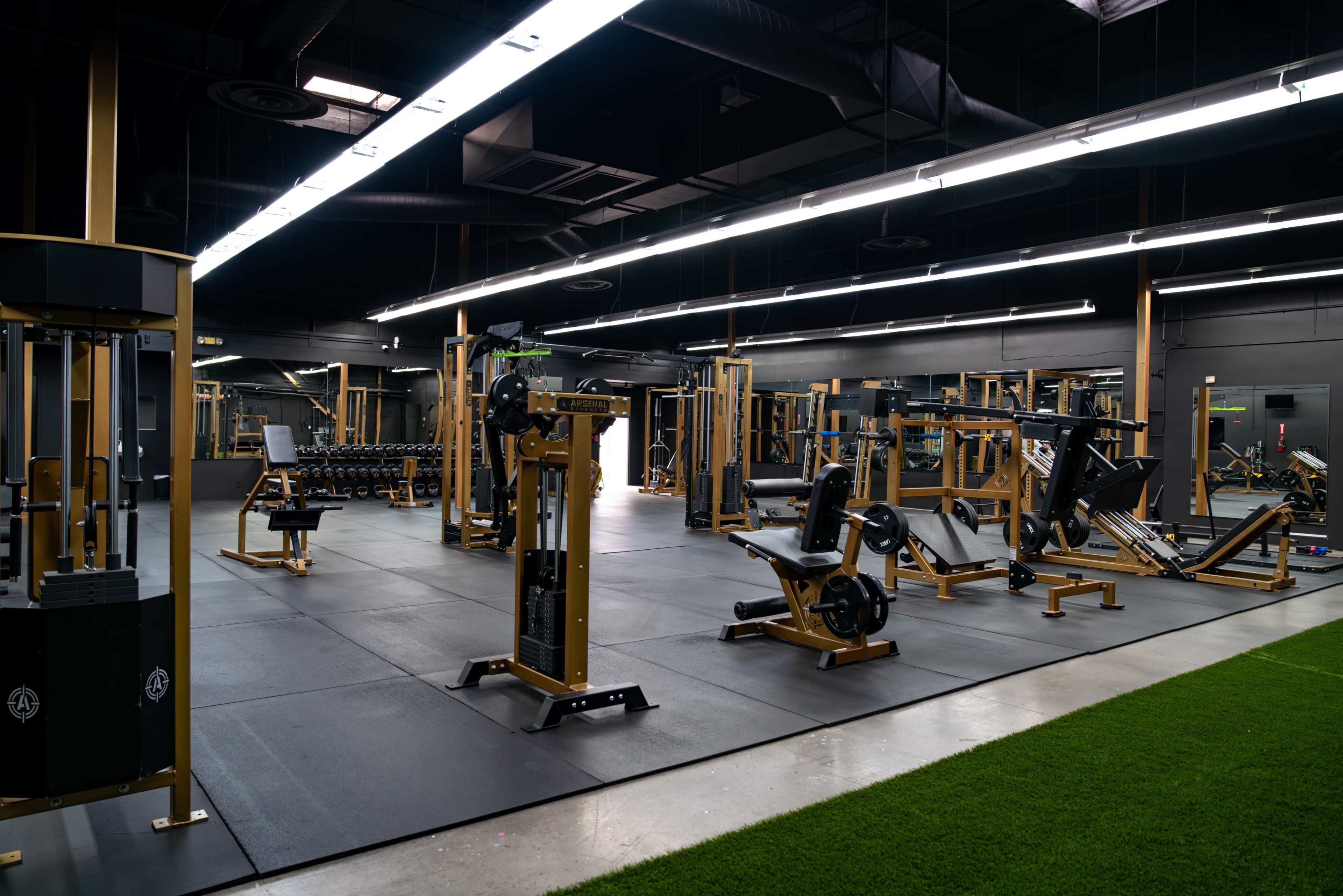 Downtown Private Training Facility with Brand New & Unique Gold Equipment Image in Burbank, Burbank, CA