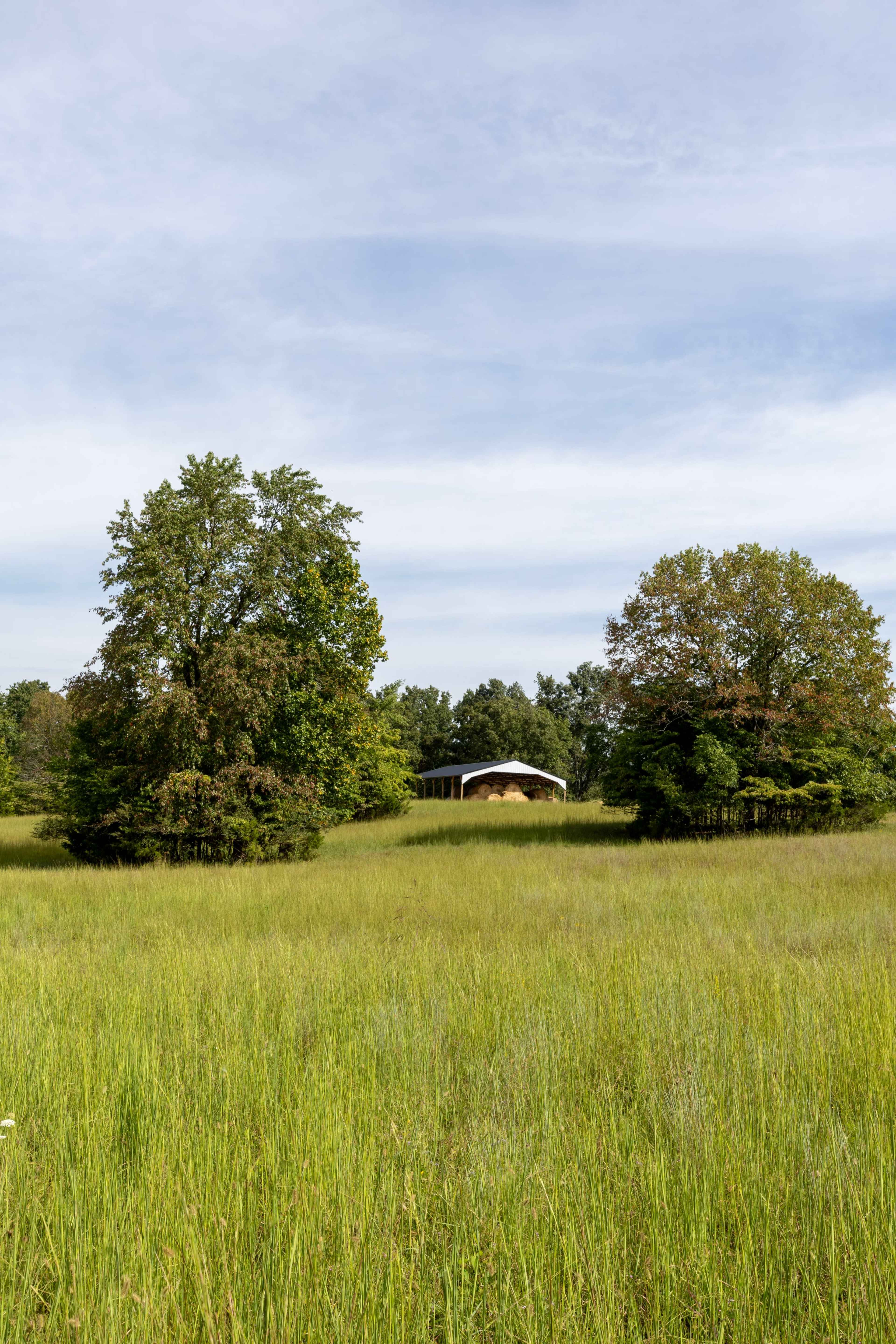 A white structure is visible in a grassy field surrounded by trees under a blue sky.