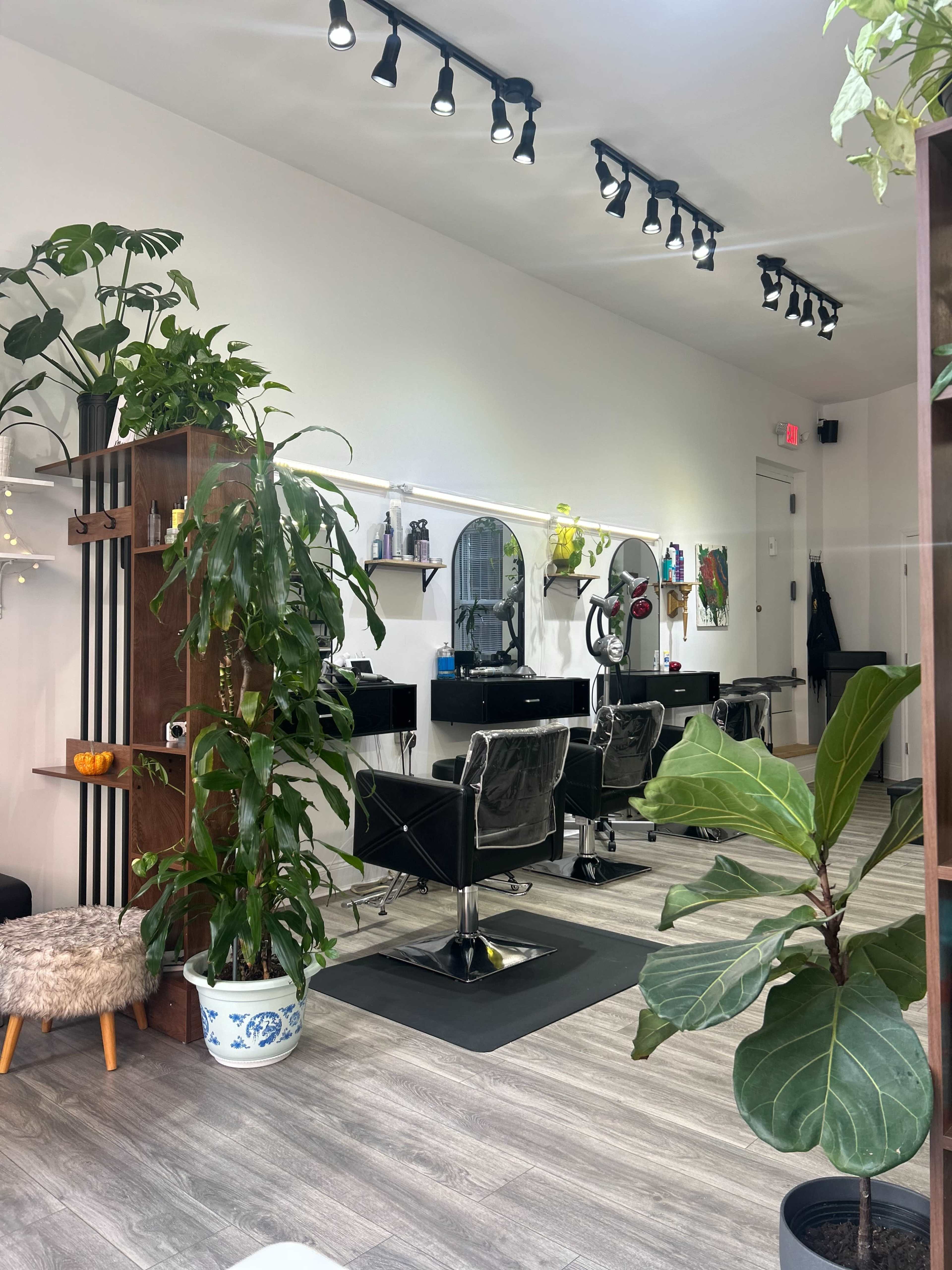 The image shows a modern hair salon featuring three styling stations, each with a mirror, surrounded by greenery and wooden decor.