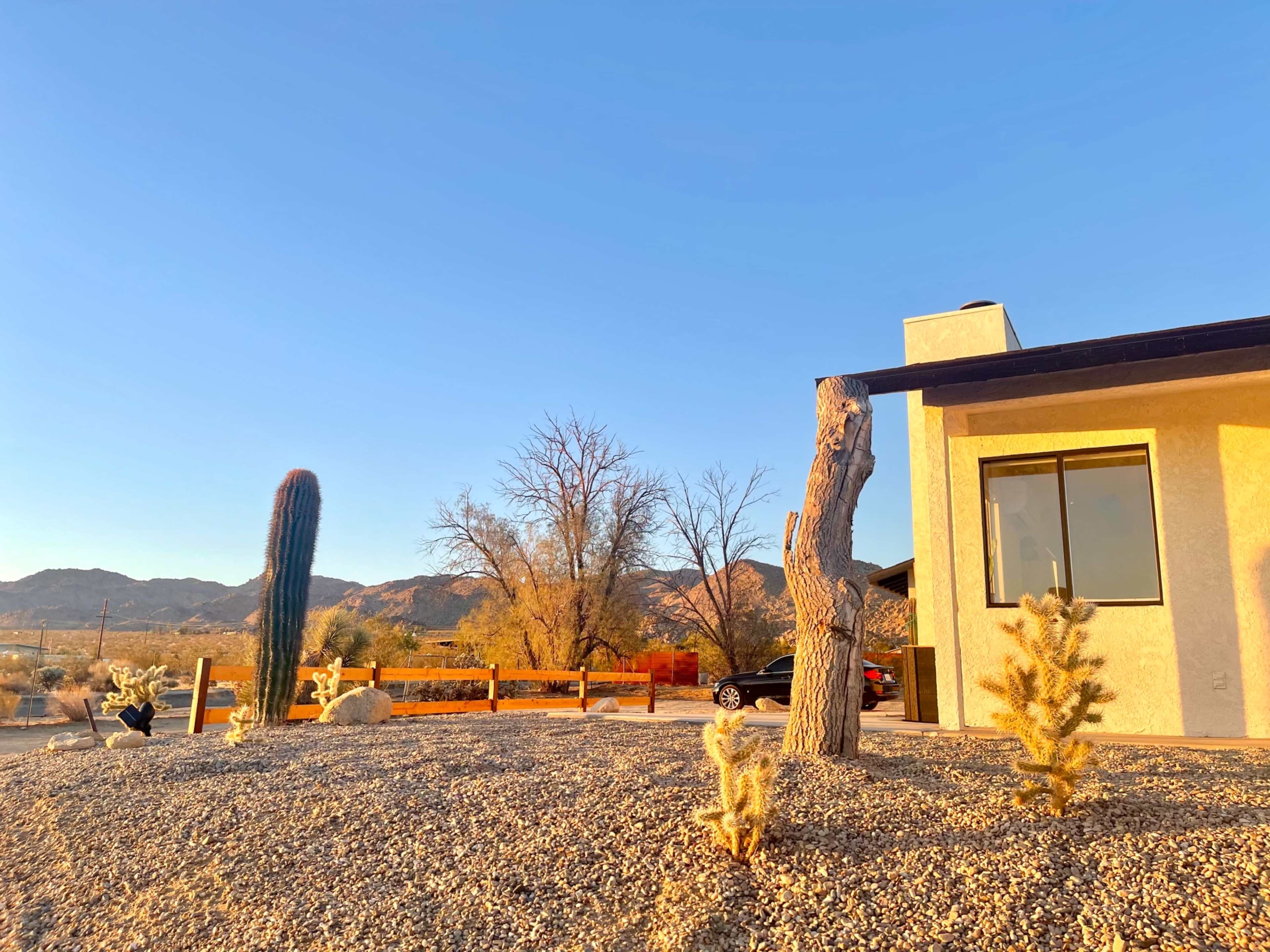 The scene shows a desert landscape with various cacti, gravel terrain, and a modern house under a clear blue sky.