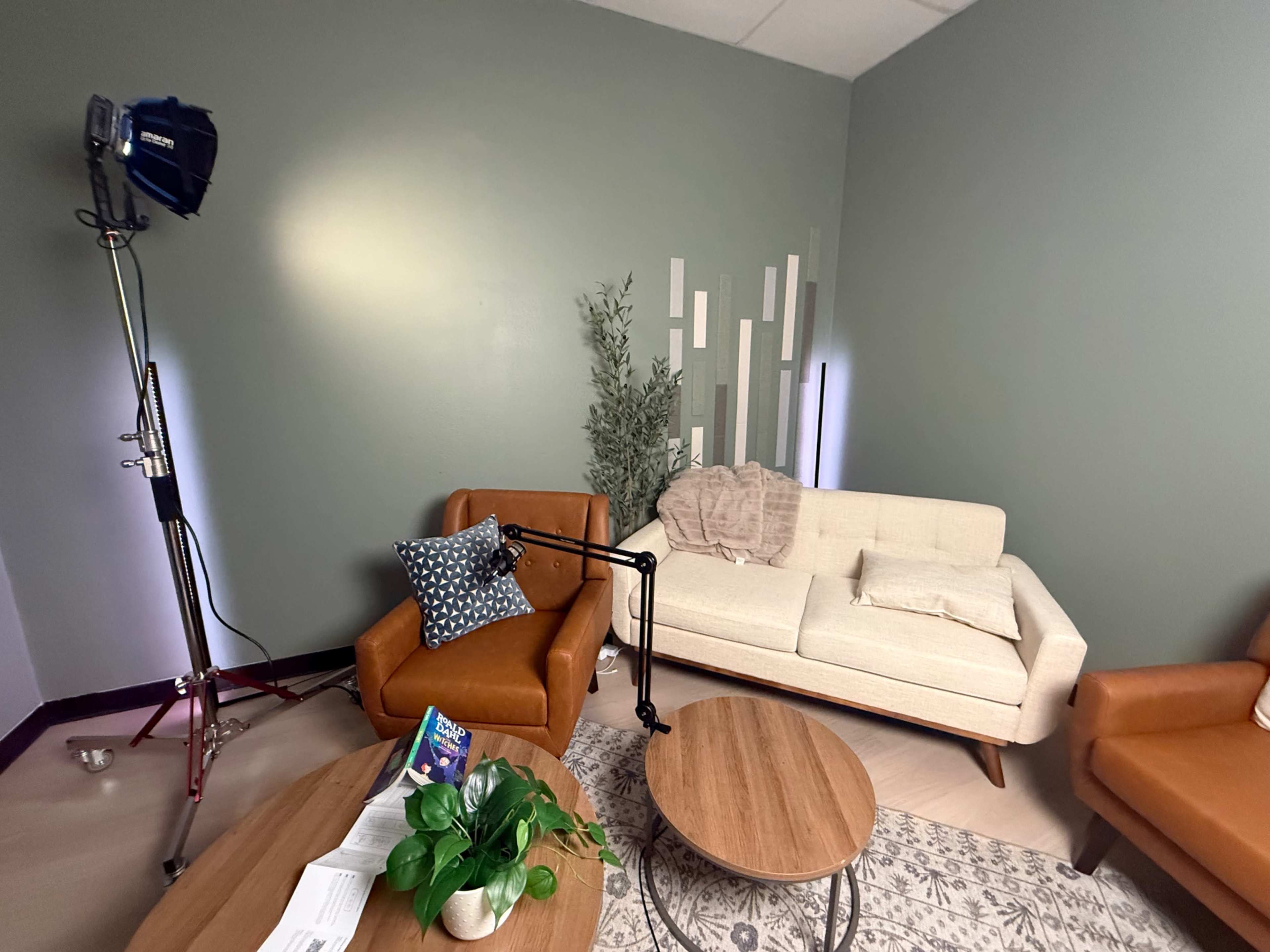 Living Room Style Podcast Space Image in Colleyville, Colleyville, TX