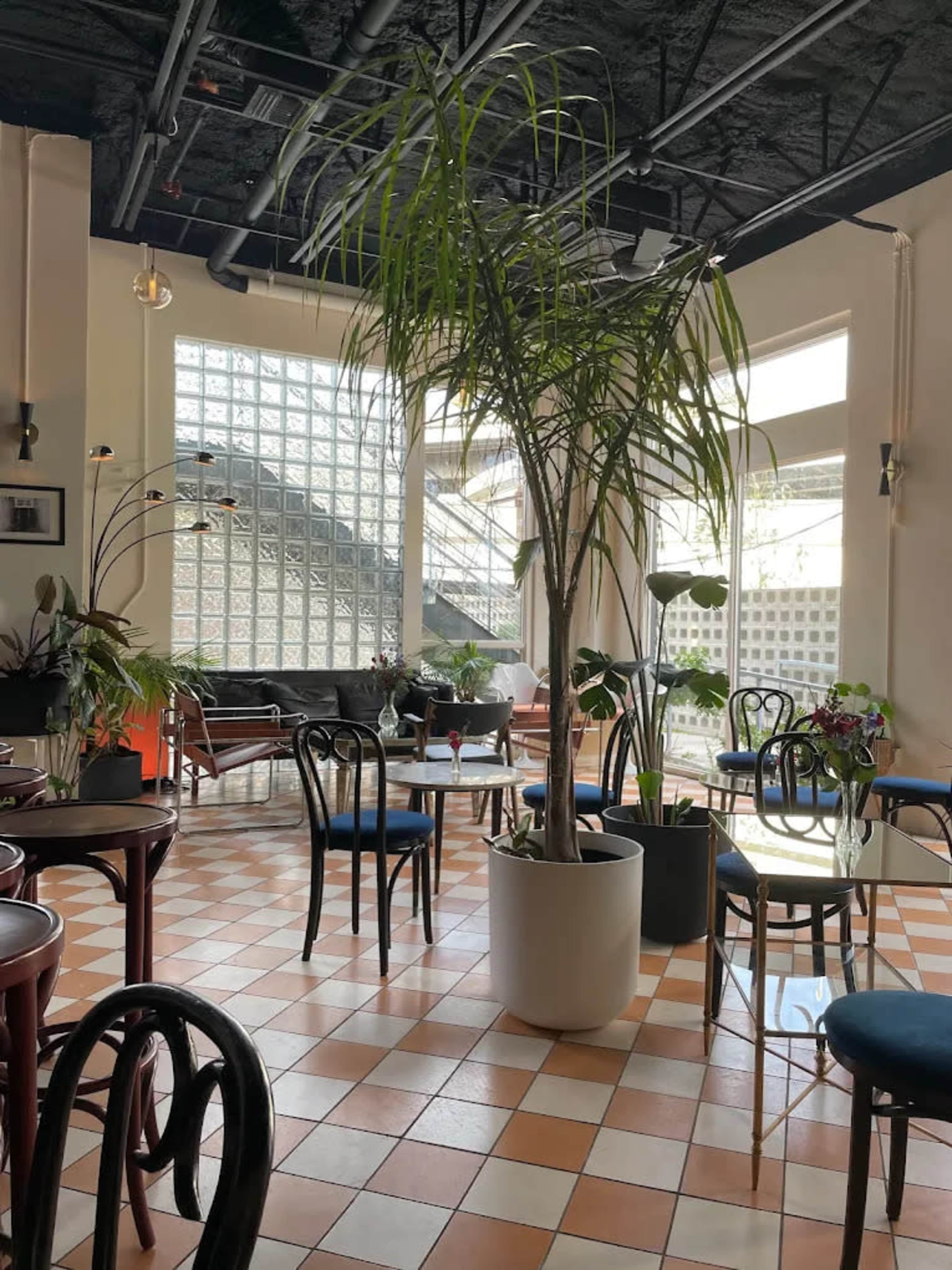 The image shows the interior of a café with a large potted palm, tiled flooring, glass block windows, and various plants around the seating area.