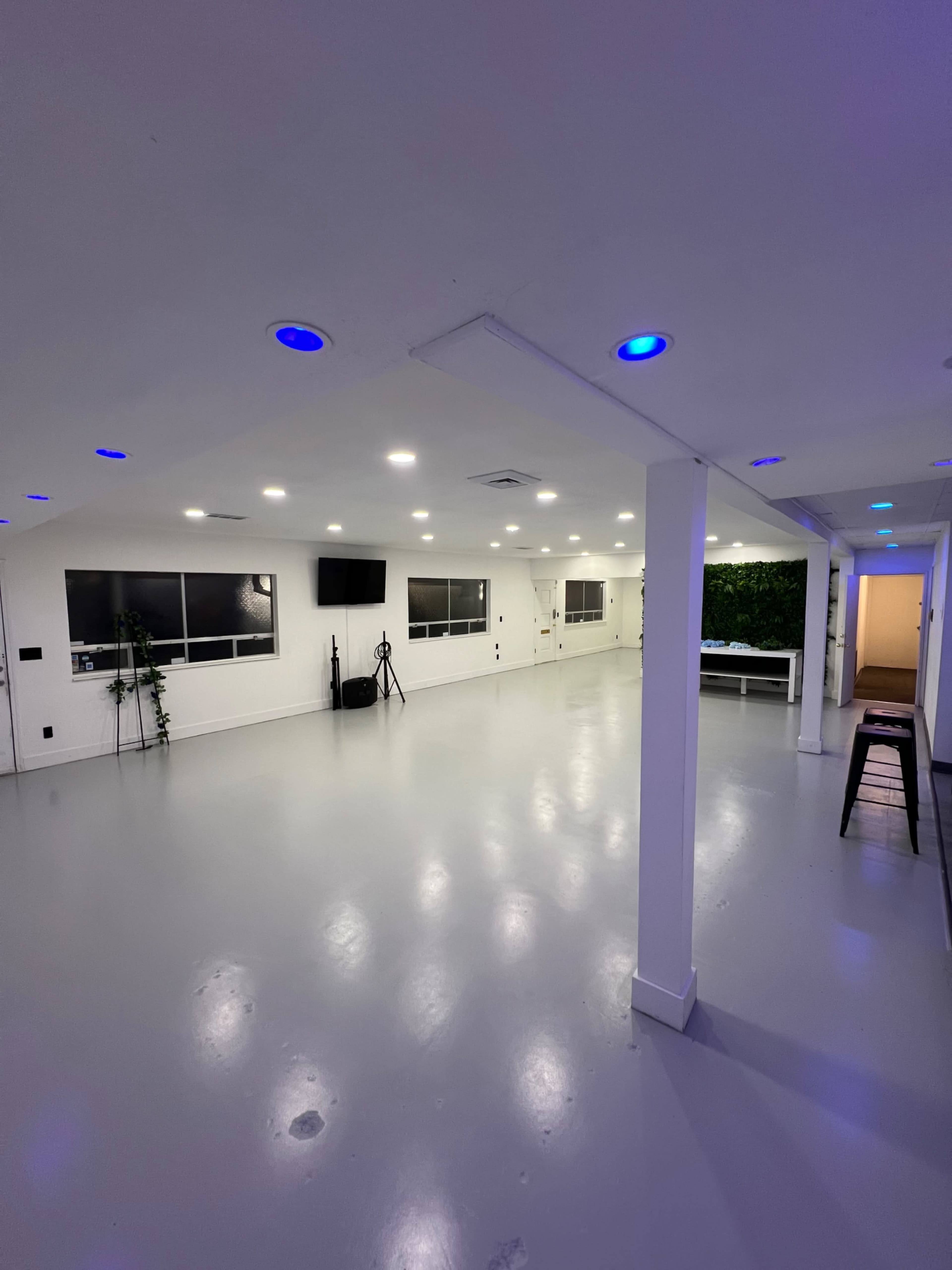 The image shows a spacious, well-lit room with a smooth gray floor, white walls, and several windows, featuring minimal furnishings and green plants in one corner.