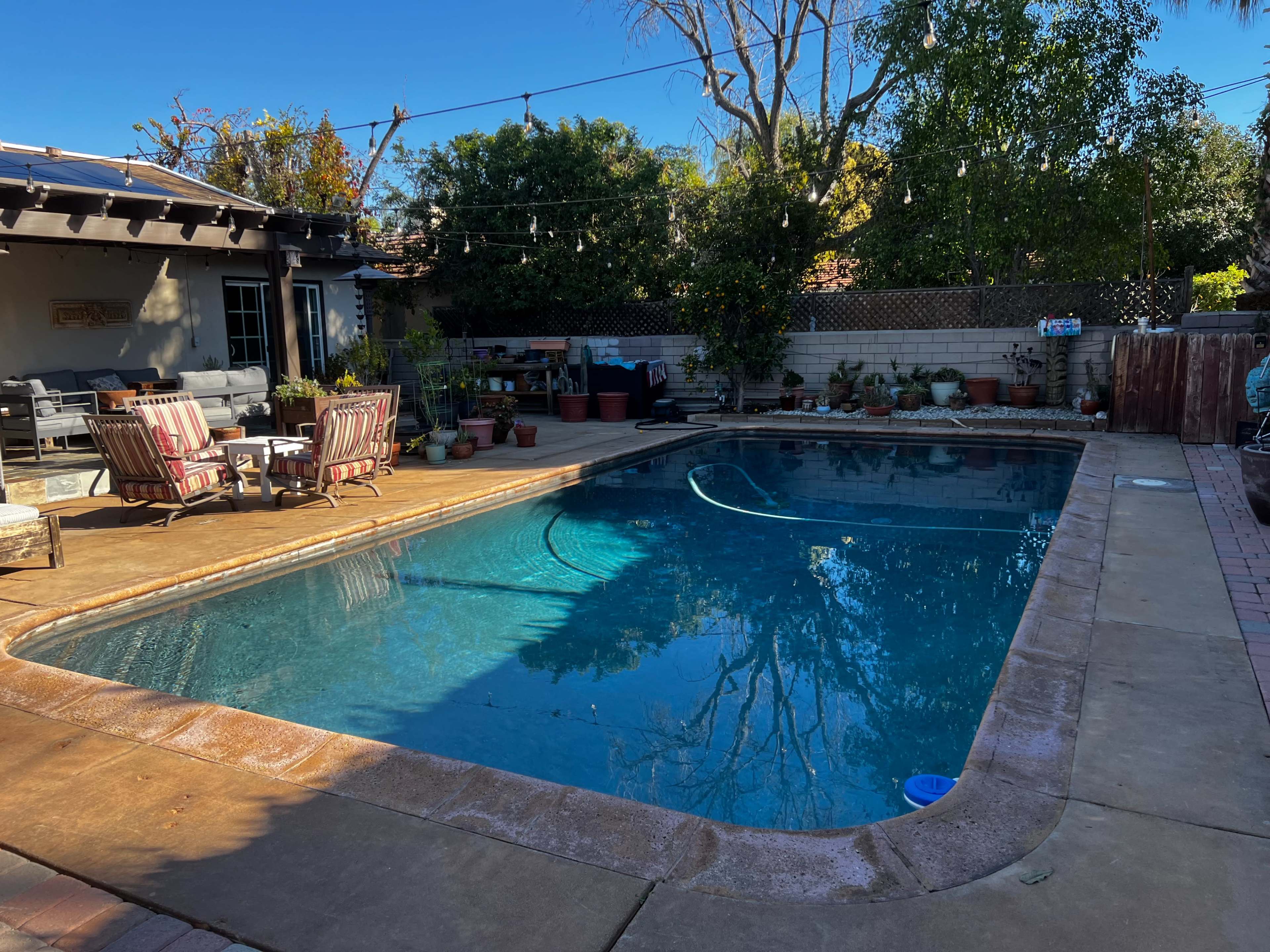 A residential backyard features a swimming pool surrounded by potted plants and patio furniture.