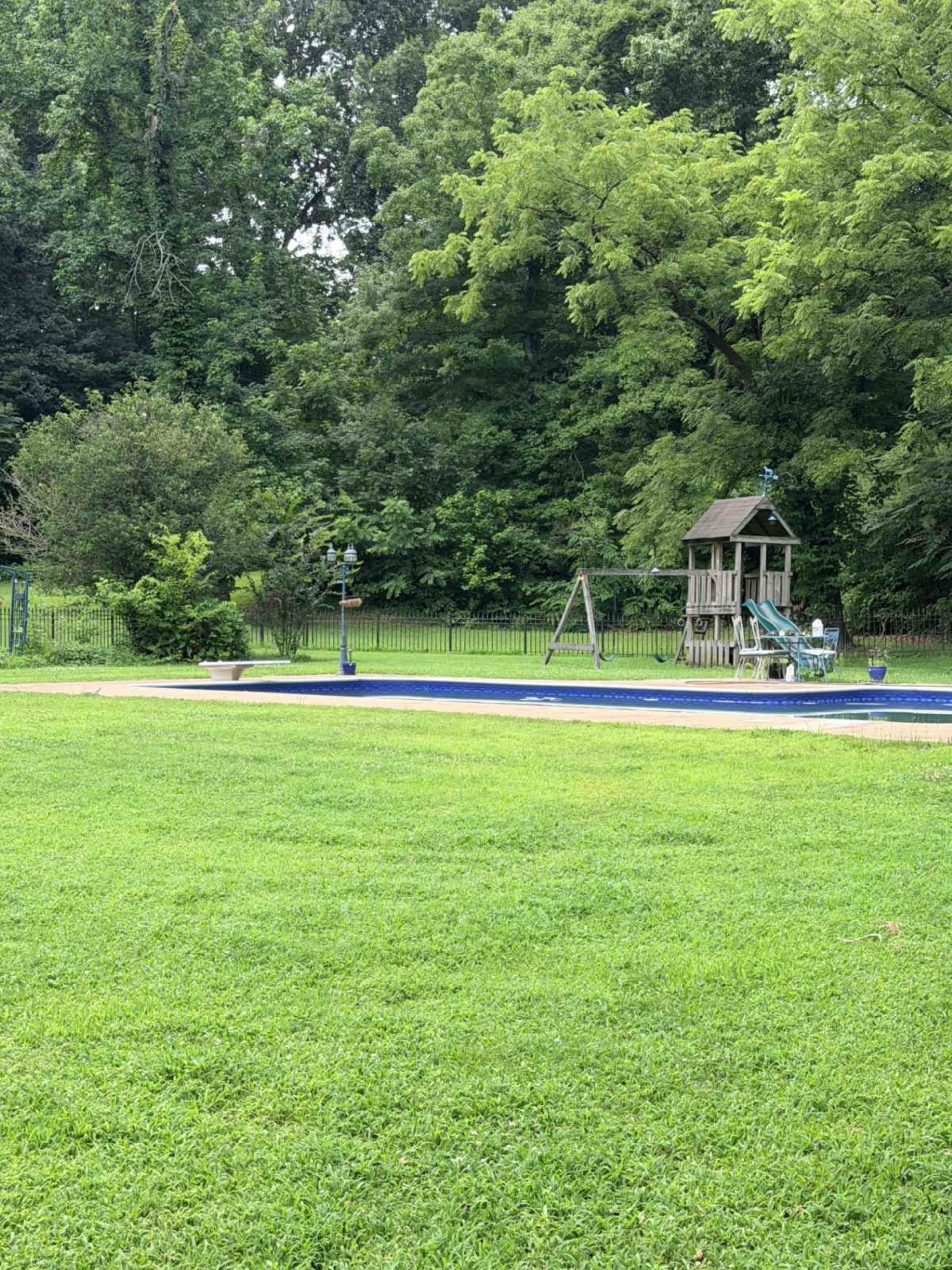 The image shows a grassy backyard with a playground set and a swimming pool surrounded by lush trees and a fence.