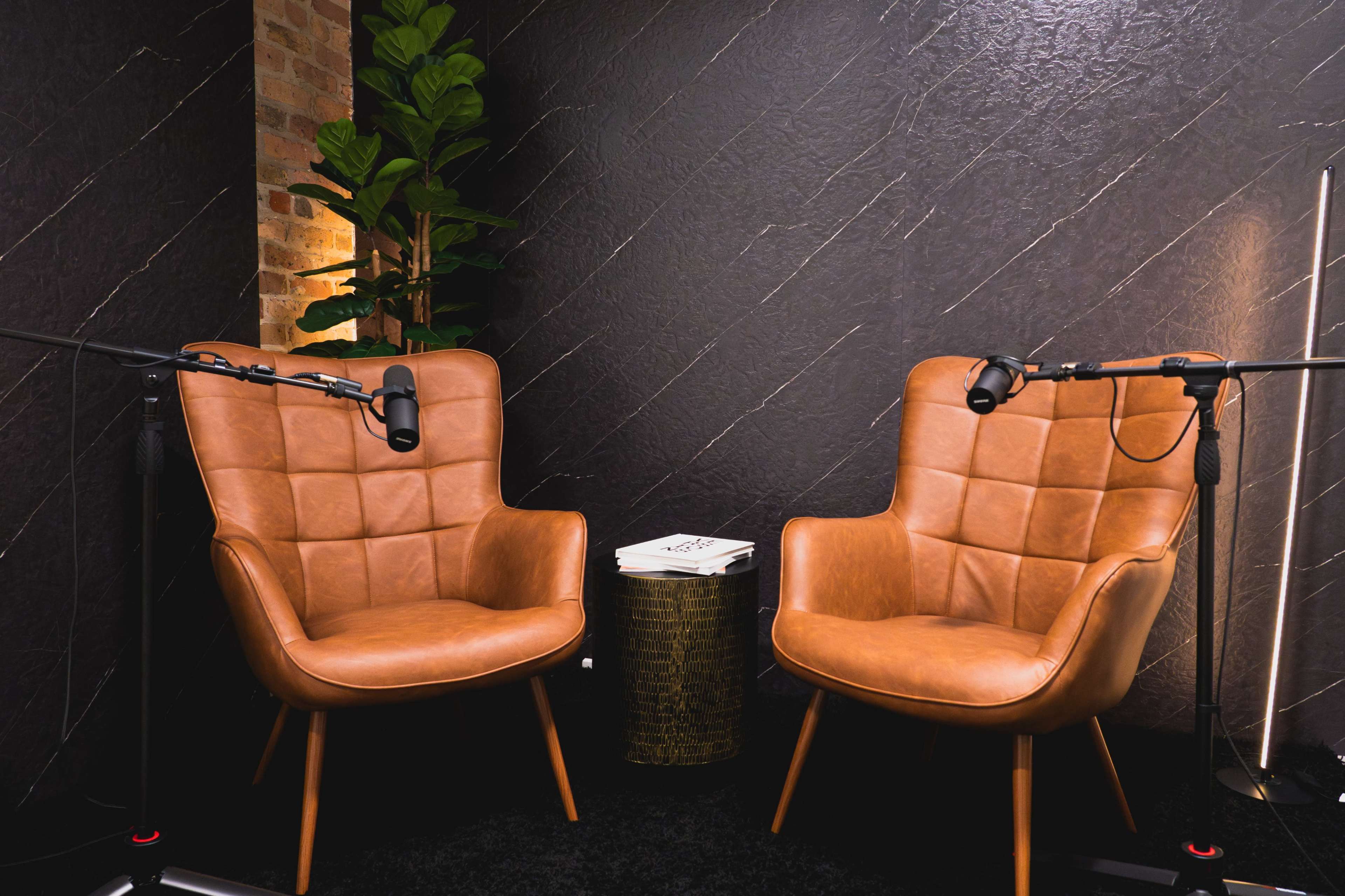 The image shows two brown leather chairs with microphones positioned in front of them, set against a textured dark wall and accompanied by a small decorative table and a potted plant.