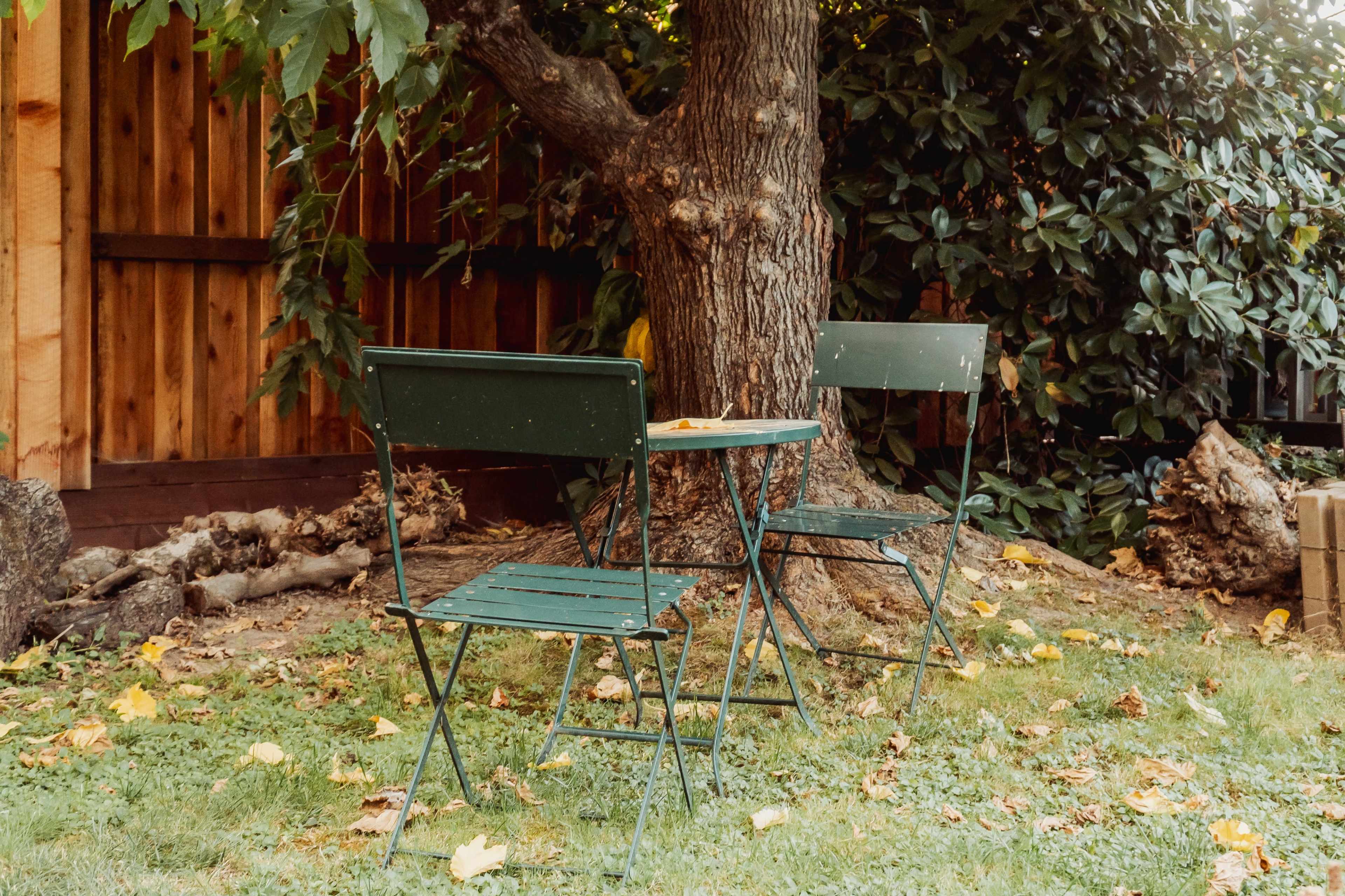 Year-Round Private Outdoor Garden Studio (comes with photographer) Image in Rocklin, Rocklin, CA