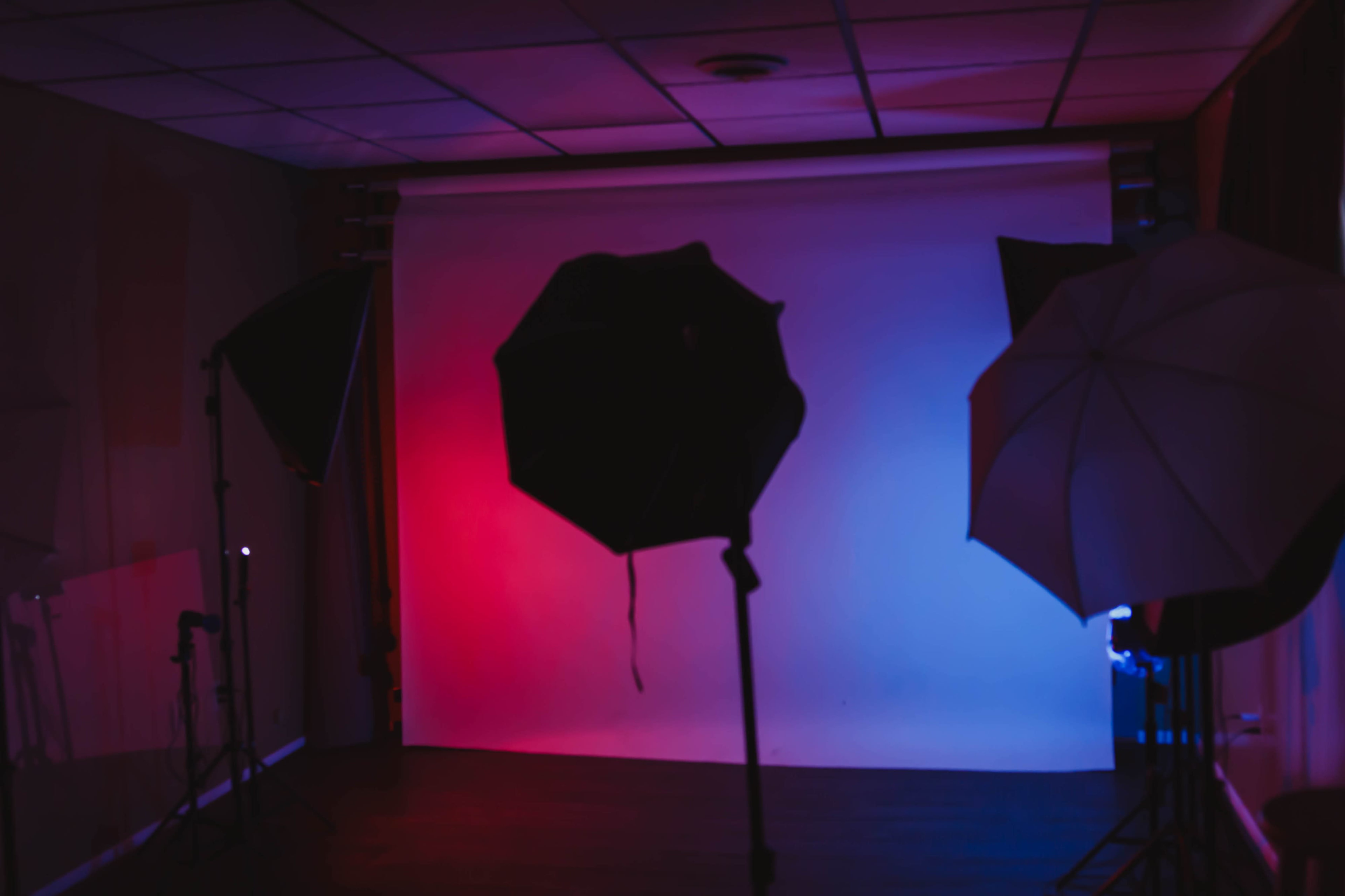 A photography studio equipped with lighting umbrellas against a backdrop illuminated in red and blue.