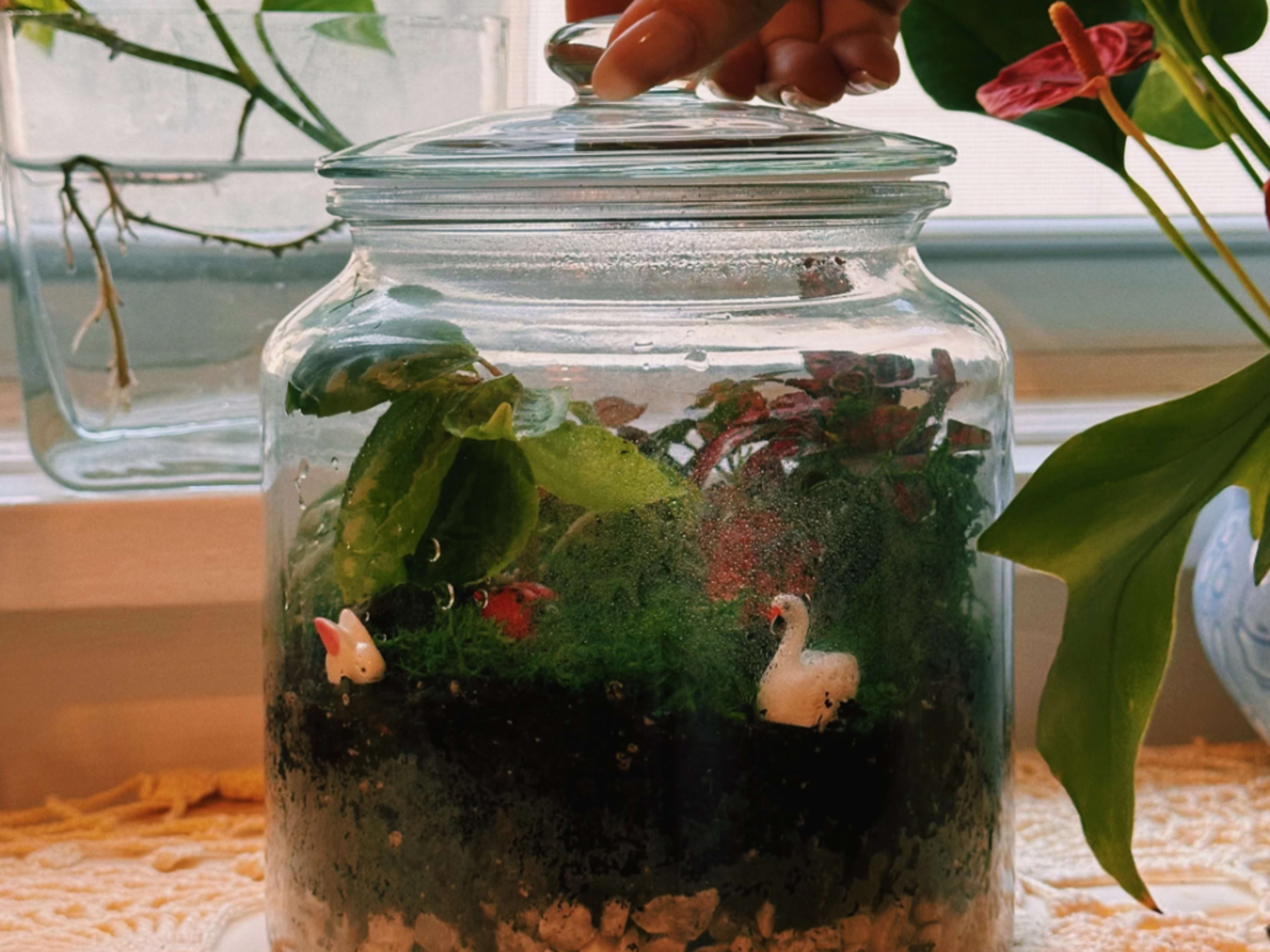 Terrarium Building Workshop