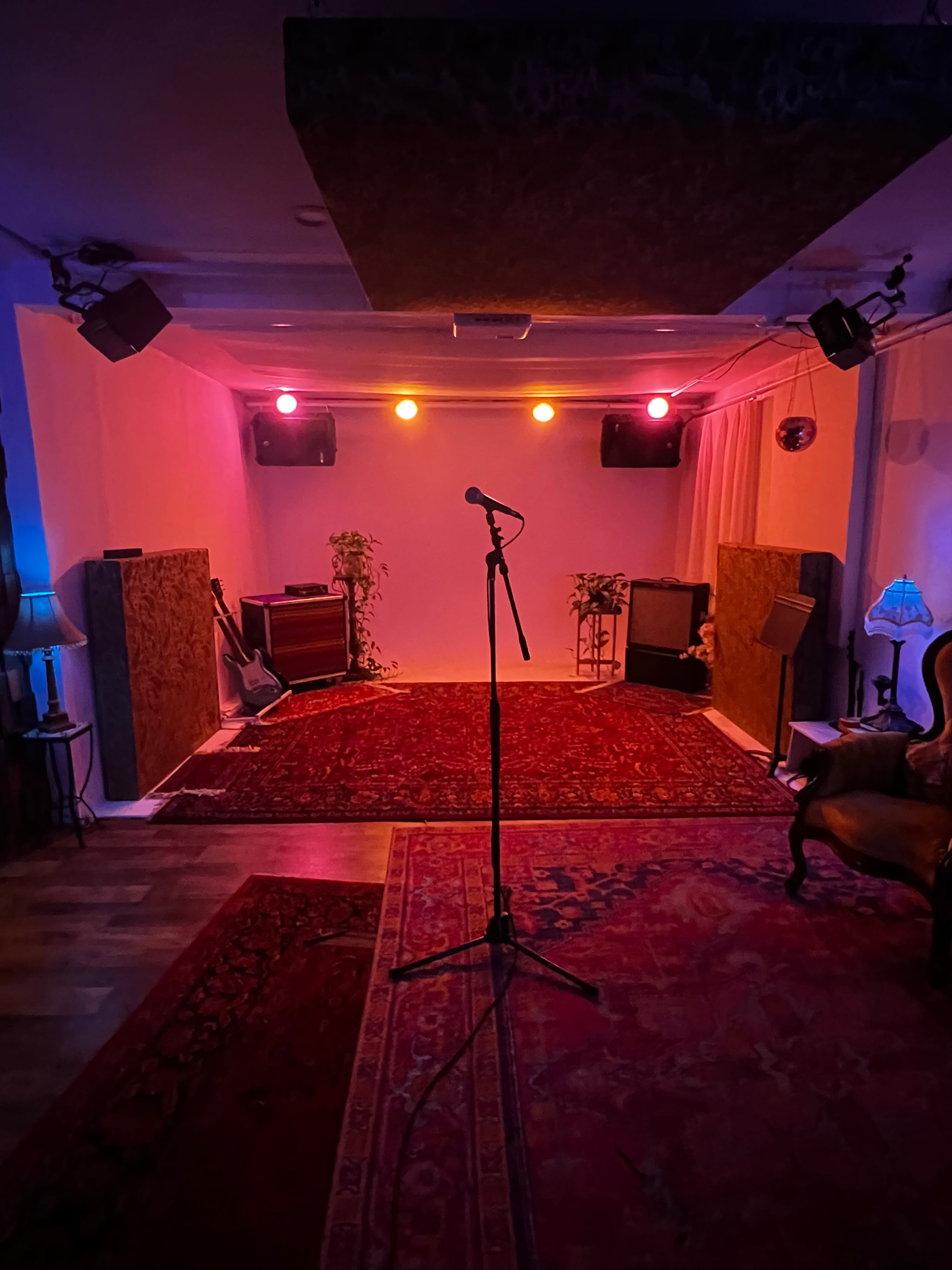 A music rehearsal studio featuring a microphone stand on a patterned rug, surrounded by amplifiers, plants, and dim lighting.