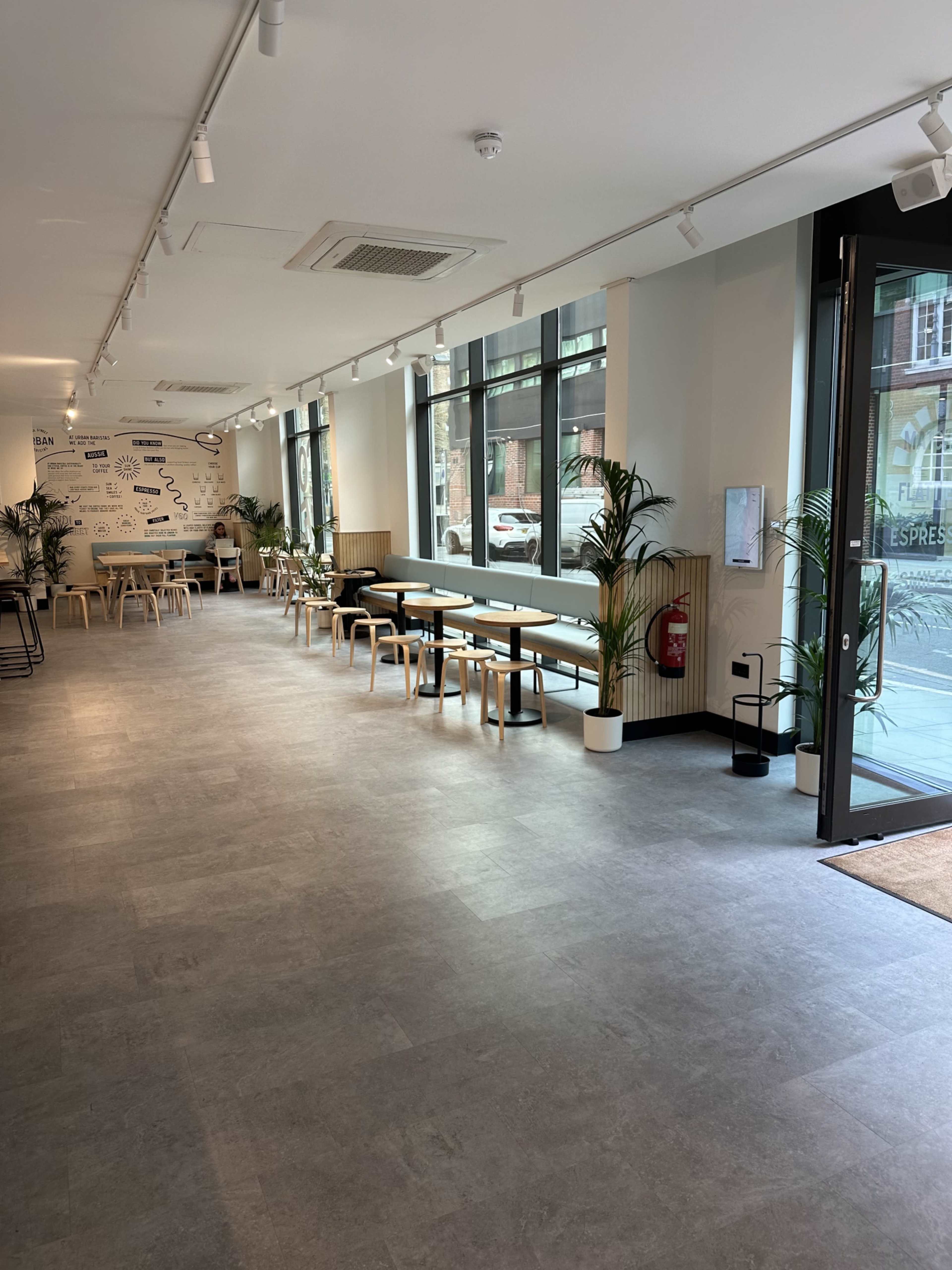 The image shows a modern, spacious cafe interior with wooden tables and chairs, plants along the walls, and large windows allowing natural light to fill the area.