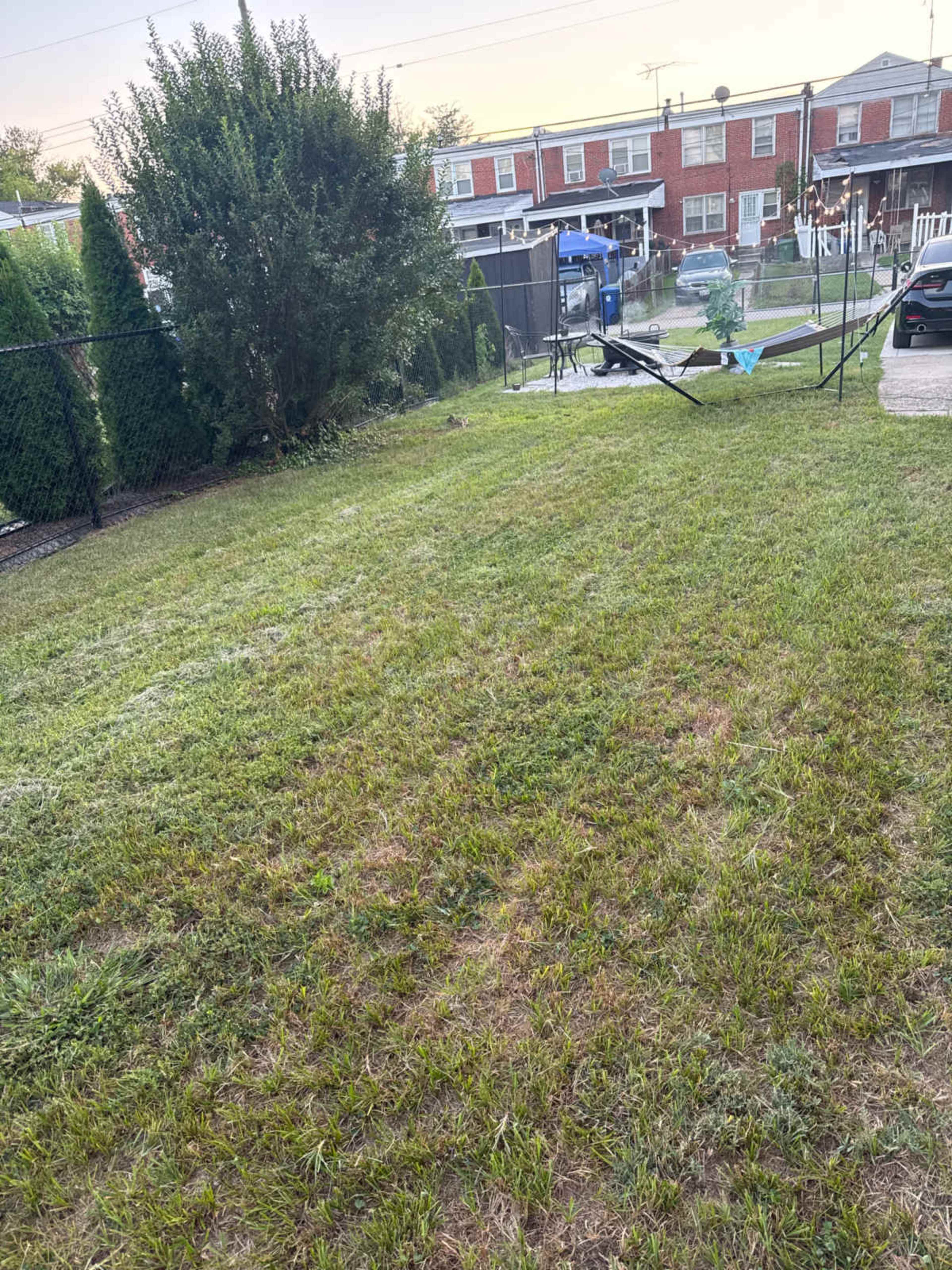 Backyard Image in Cedonia, Baltimore, MD