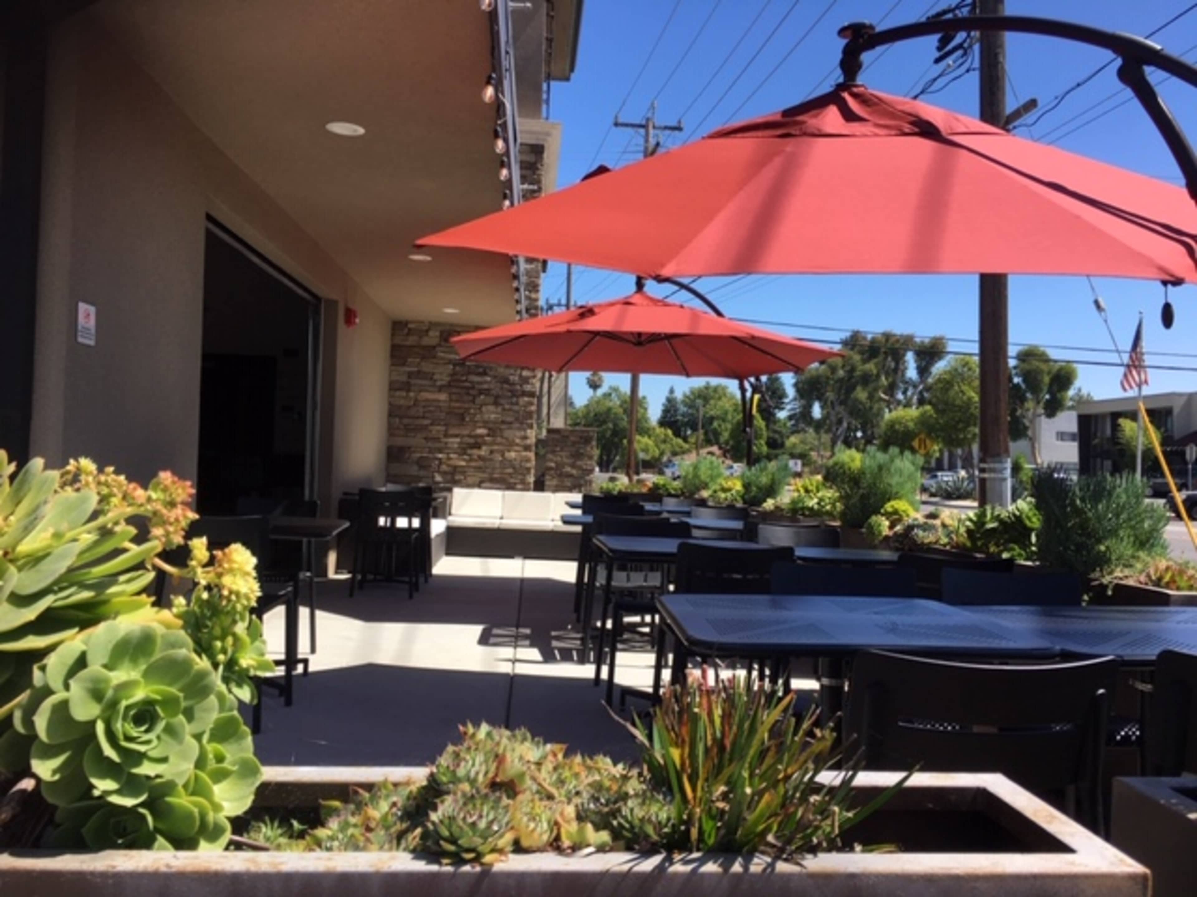 A patio area features black tables and chairs under red umbrellas, surrounded by various succulent plants.