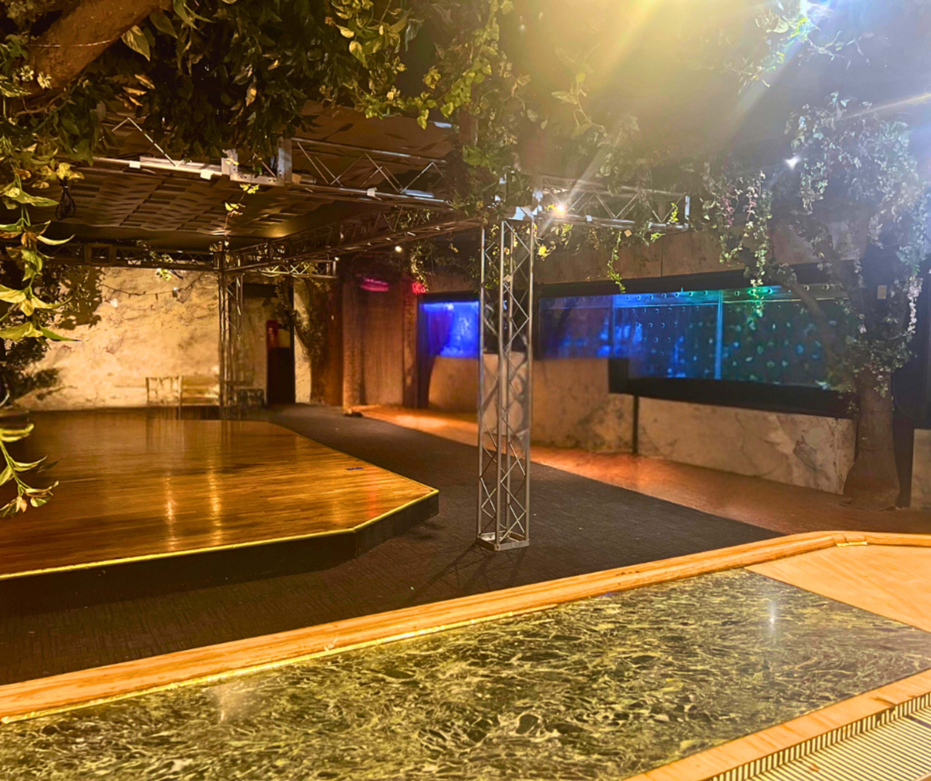 The image shows an indoor venue featuring a wooden stage surrounded by decorative plants and a backdrop with an illuminated aquarium.
