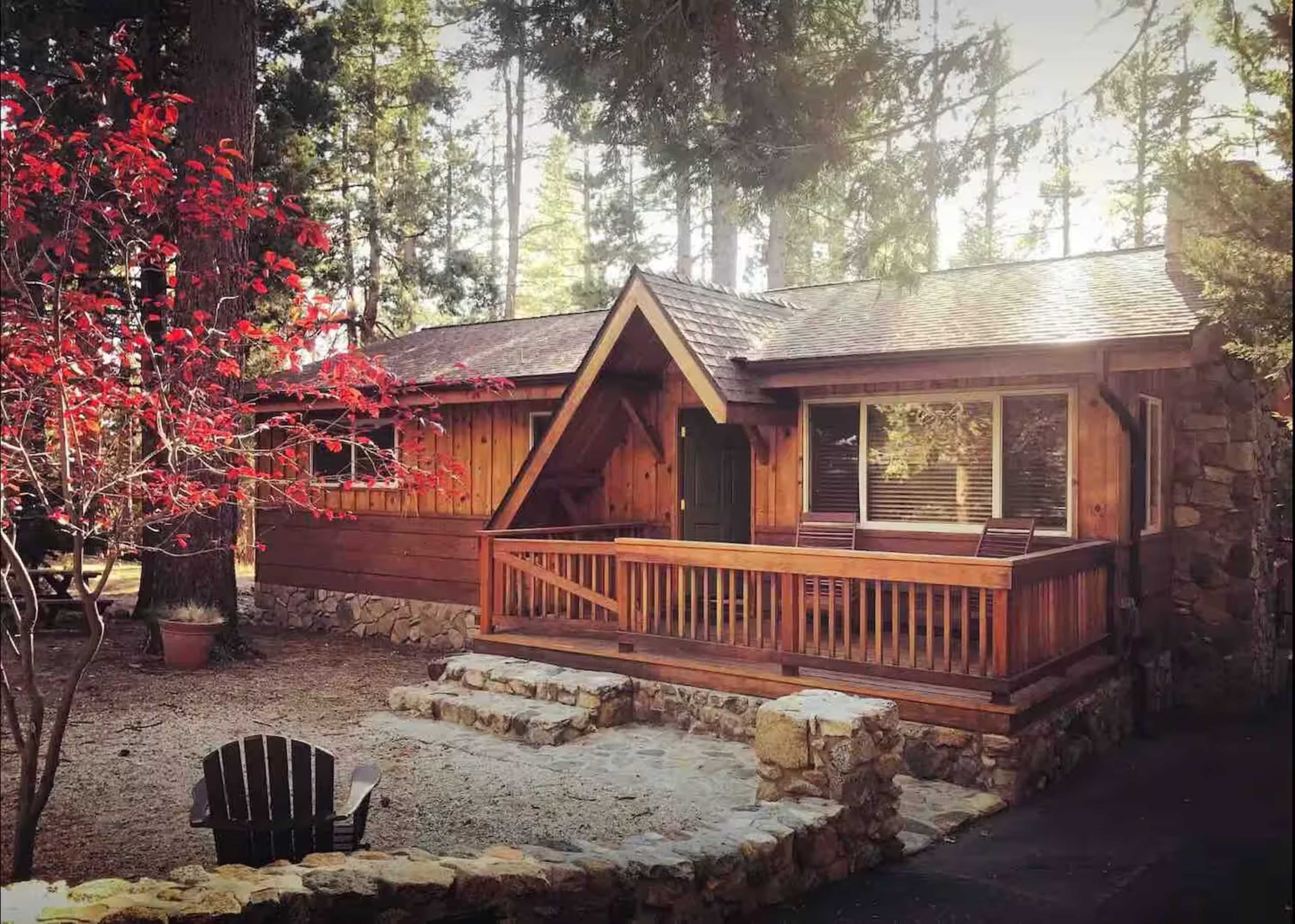 A wooden cabin with a stone foundation and a front porch is set among tall trees and features a red-leafed plant nearby.