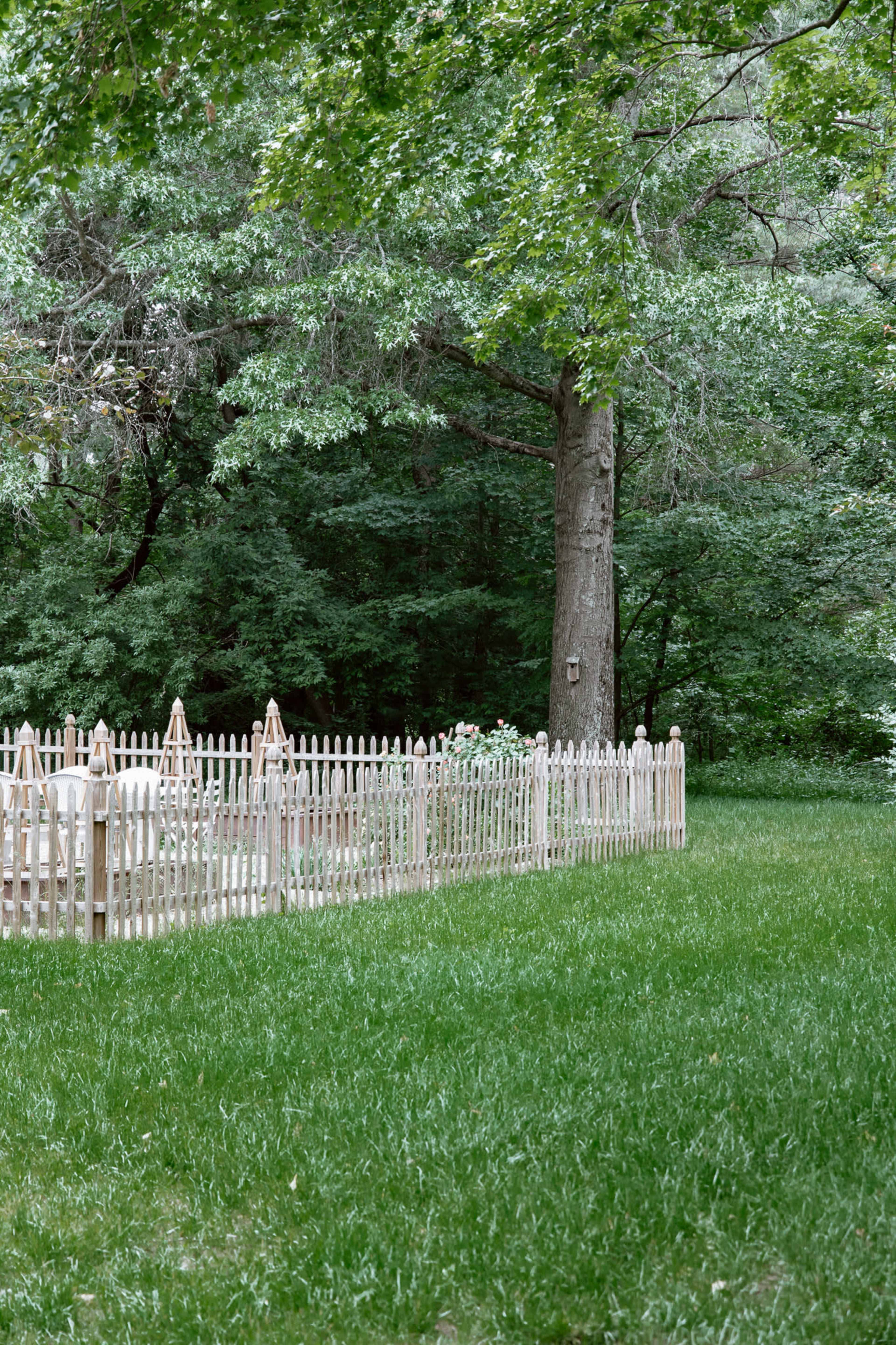 A white picket fence encloses a grassy area surrounded by dense trees.