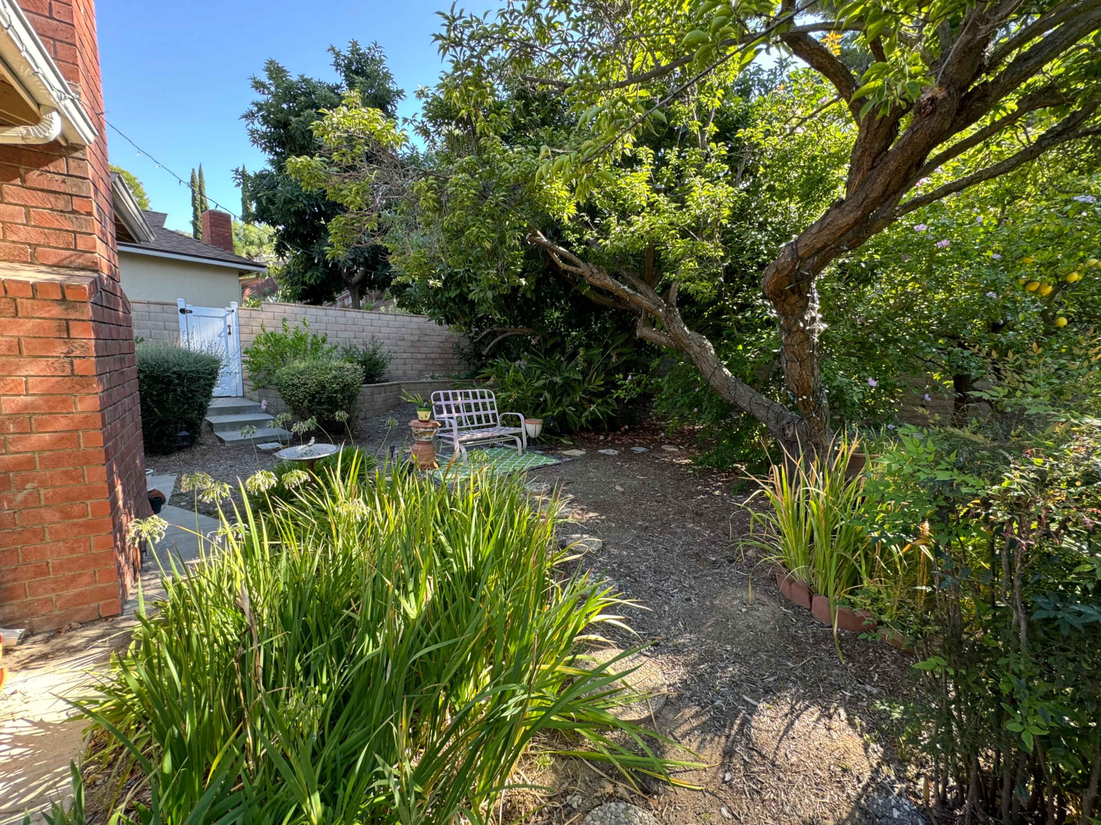 The image shows a backyard with a bench, a tree, and various plants surrounding a gravel area.