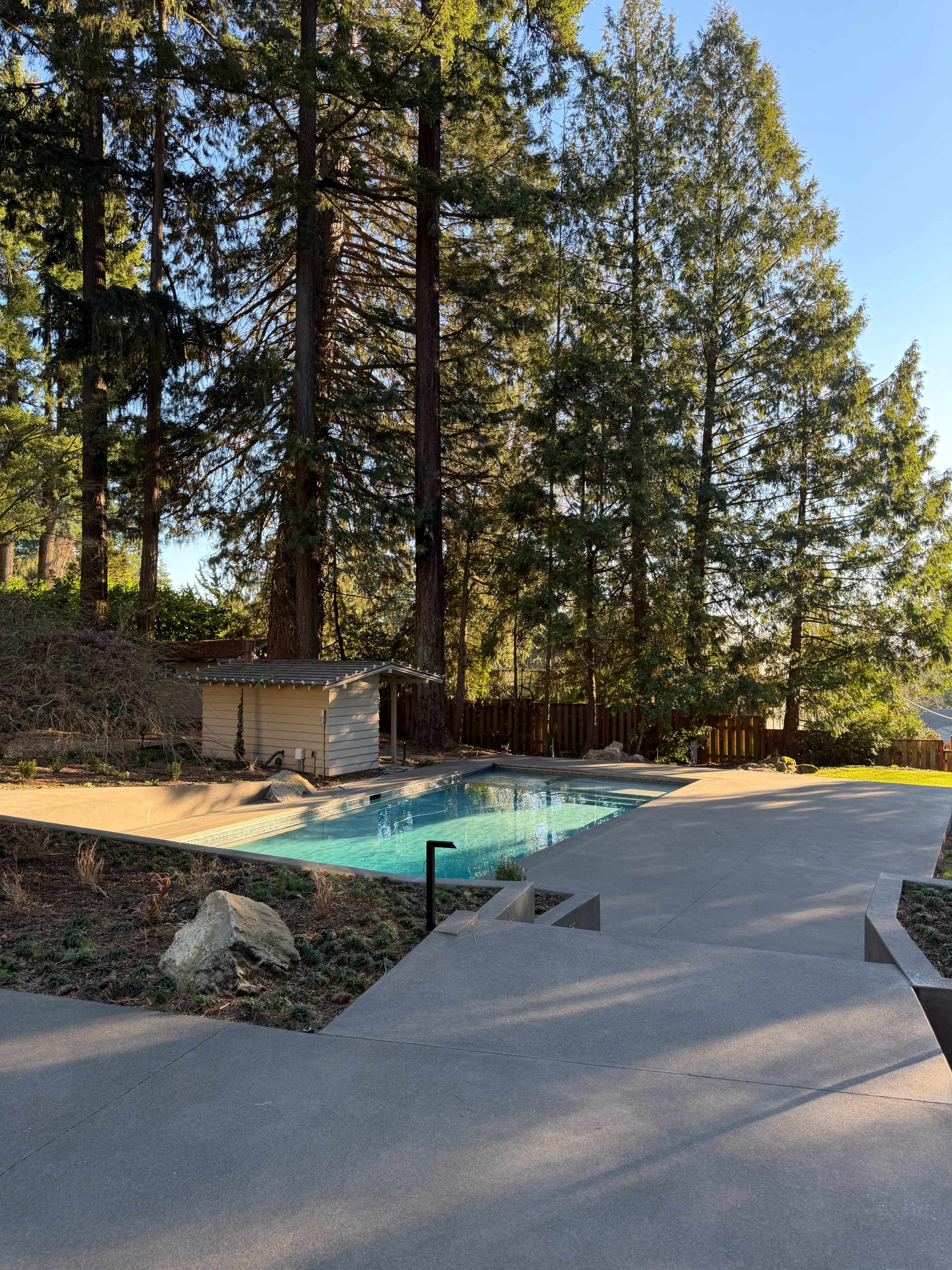 The image shows a modern swimming pool surrounded by tall trees and a wooden fence in a clear, sunny setting.