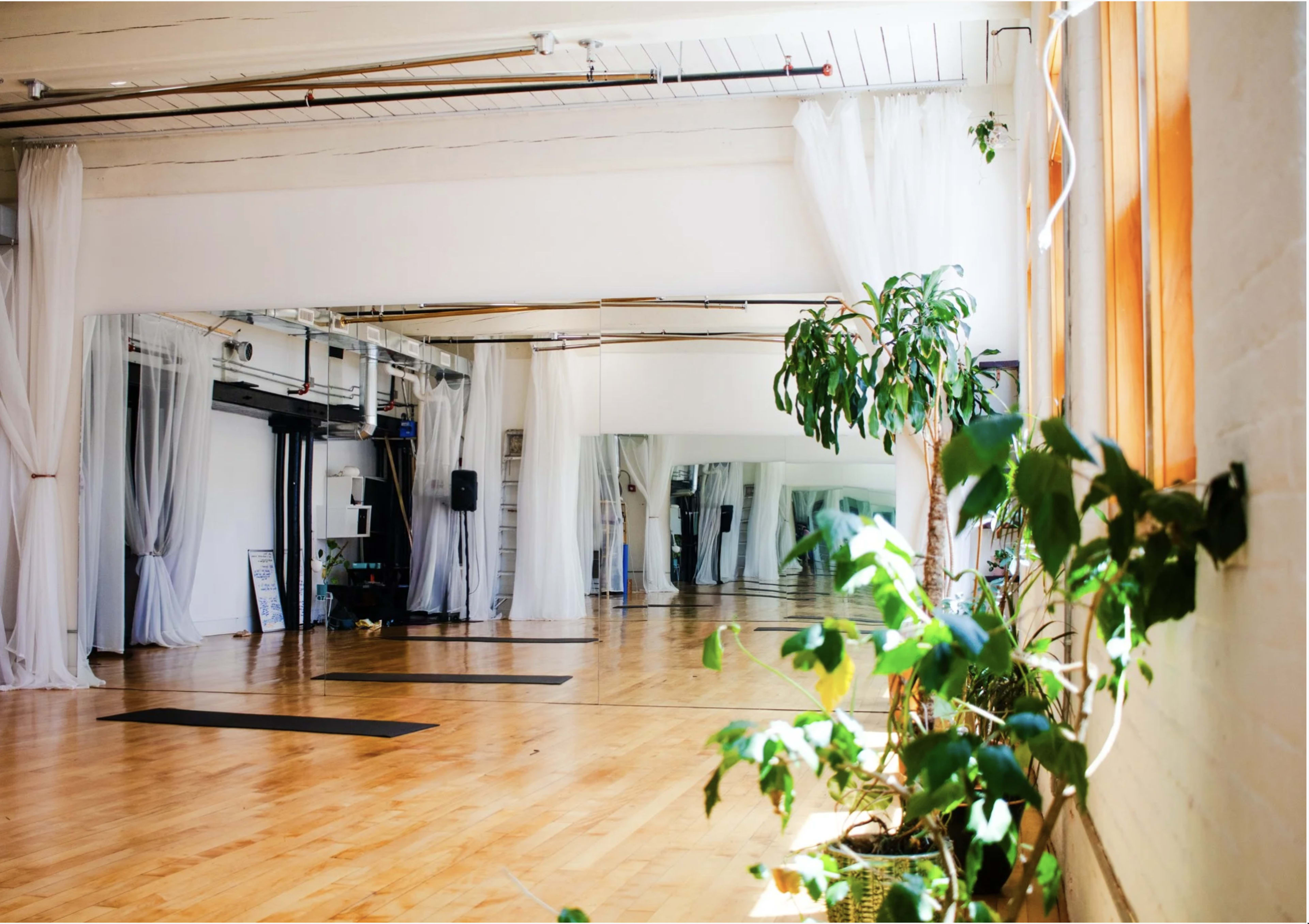 The image shows a spacious, well-lit studio featuring wooden floors, large mirrors, and potted plants along the window.
