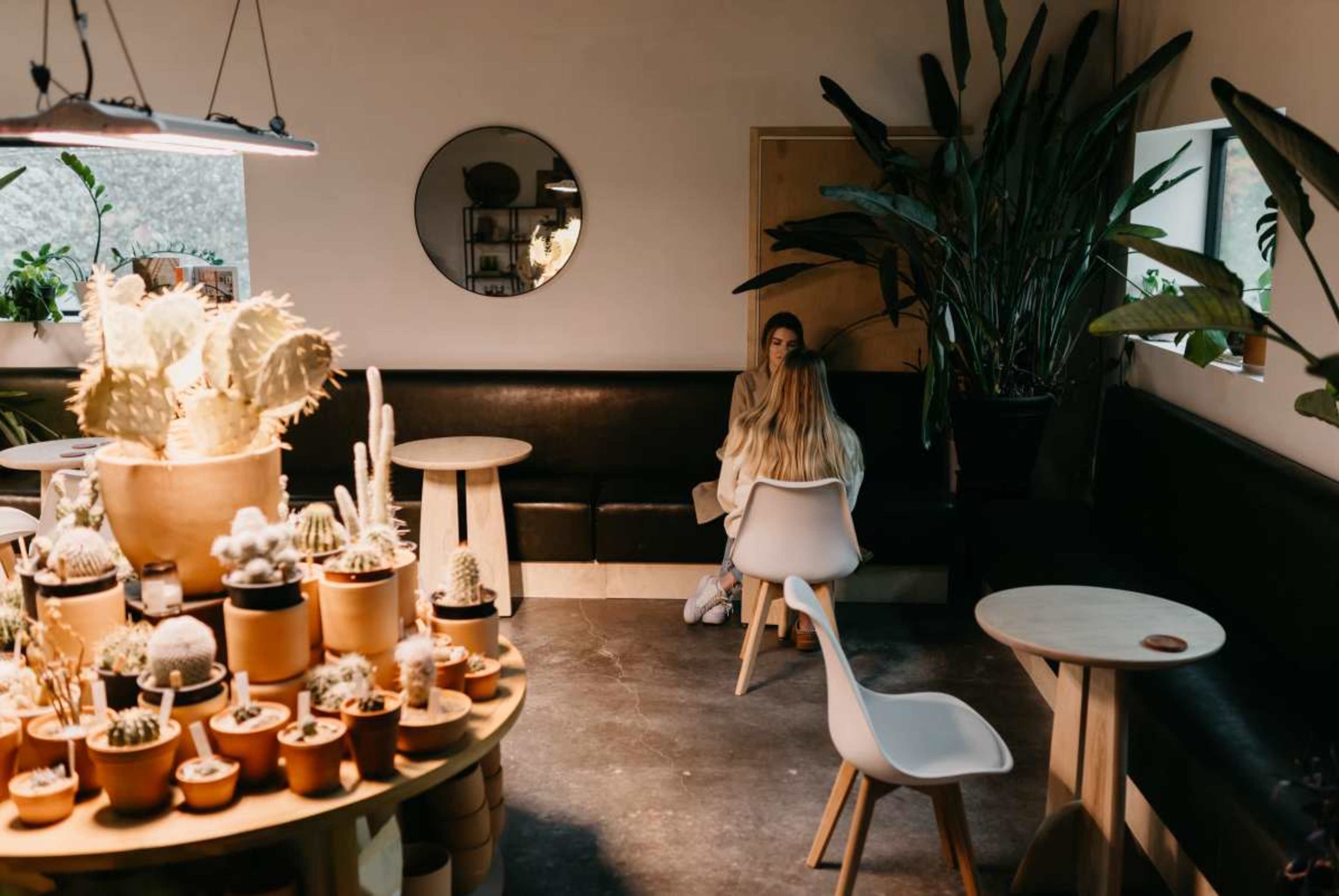 A woman sits on a white chair at a minimalistic café featuring cacti on a table and large indoor plants.