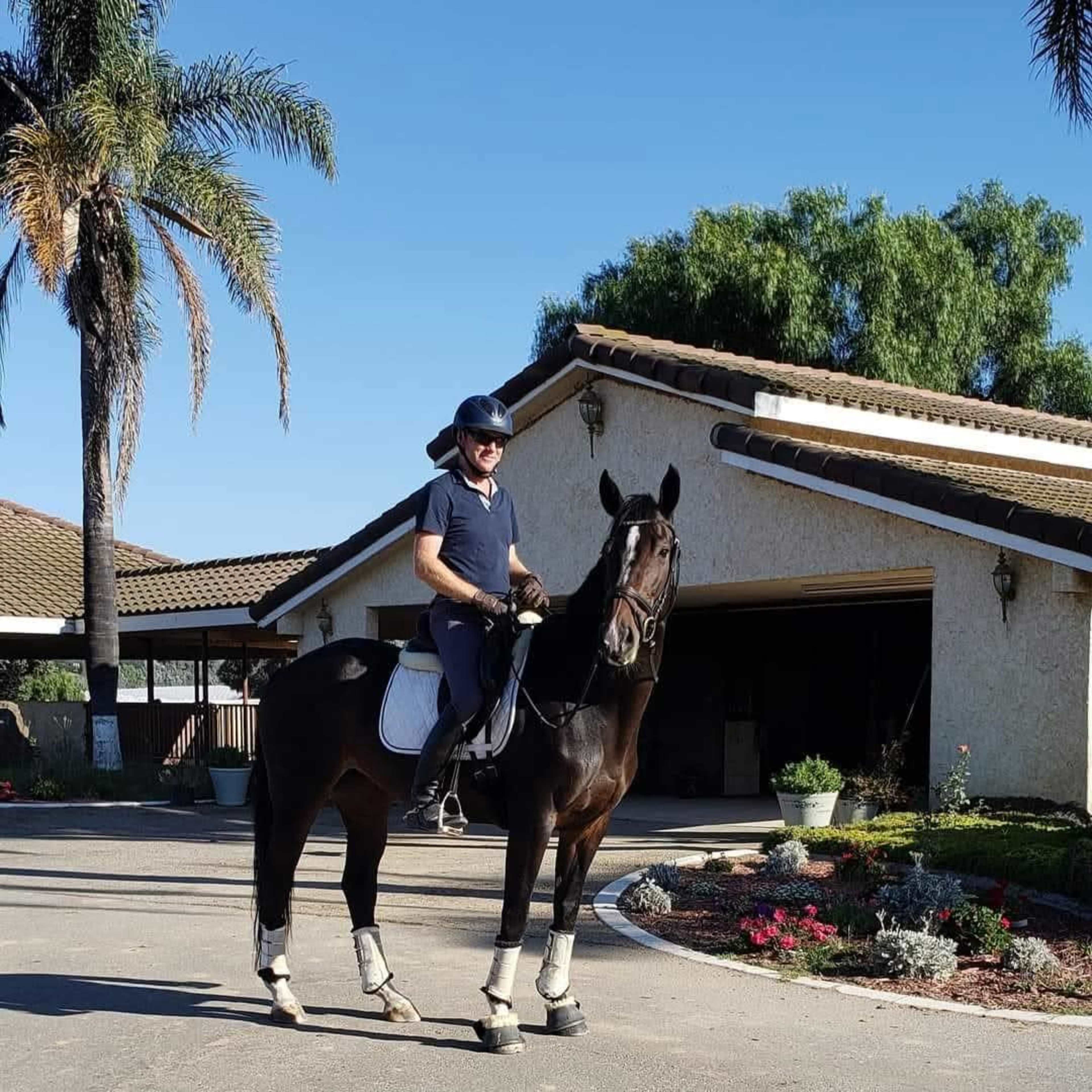 A person in riding attire sits atop a horse in front of a house surrounded by landscaped gardens and palm trees.