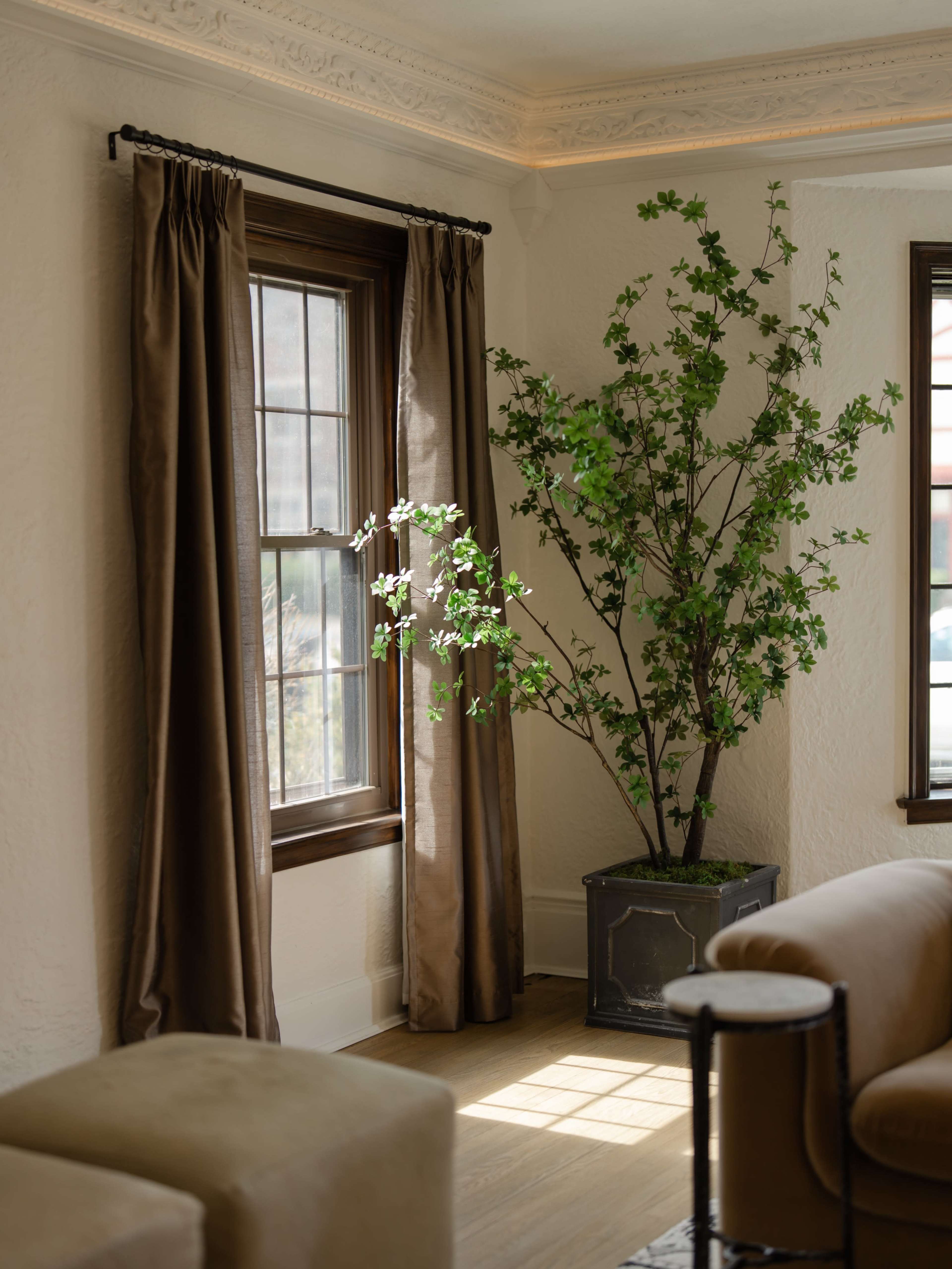 A well-lit room features a large window with brown curtains and a potted tree beside it, complemented by a beige sofa and a decorative table.