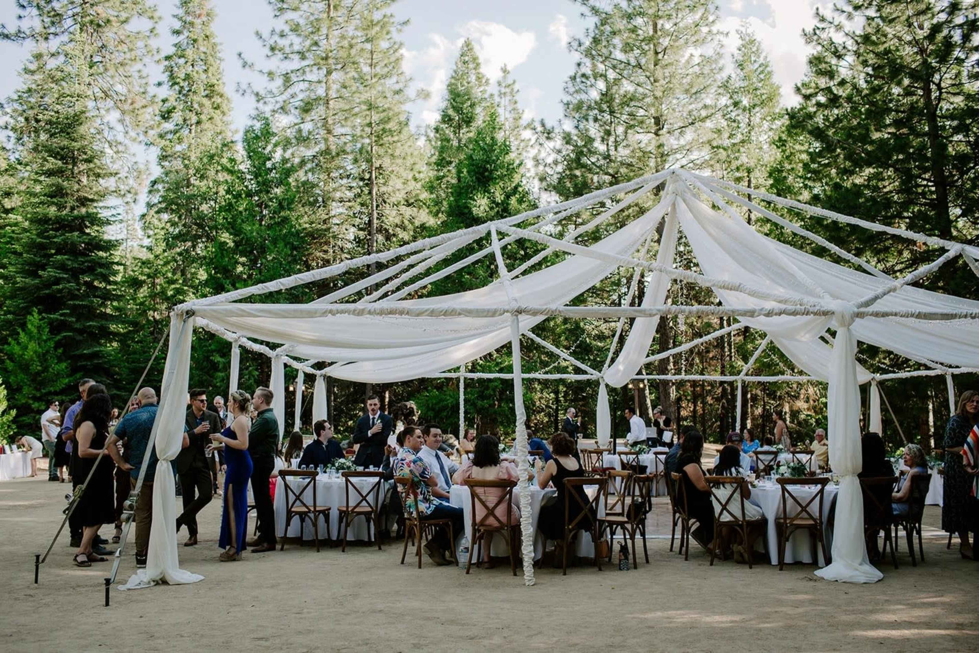 A large outdoor gathering features tables under a white tent surrounded by tall trees in a forest setting.