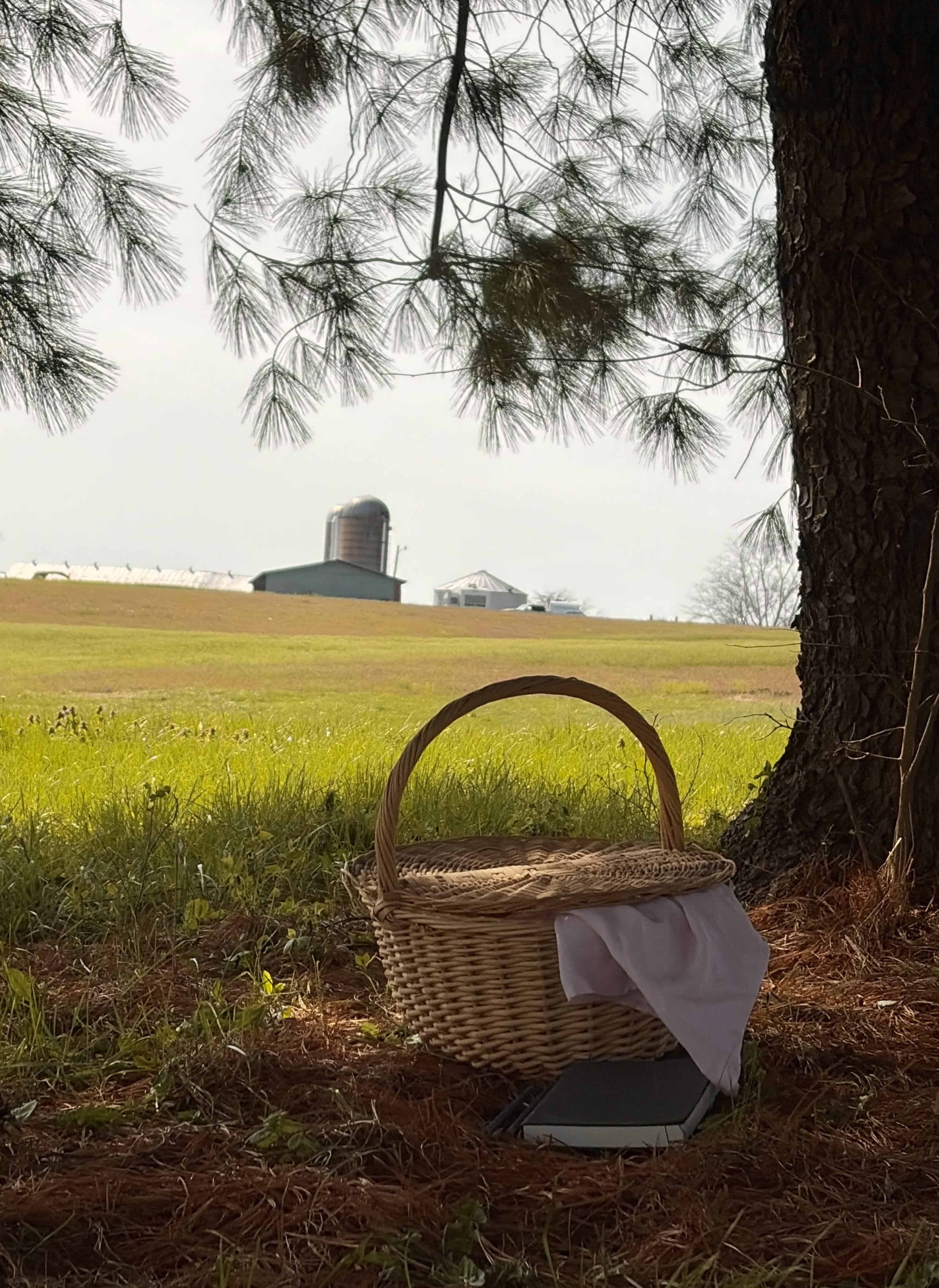 A wicker basket rests on the ground beneath a tree, with a notebook and a white cloth beside it, while a distant barn and silos are visible in the background across a grassy field.