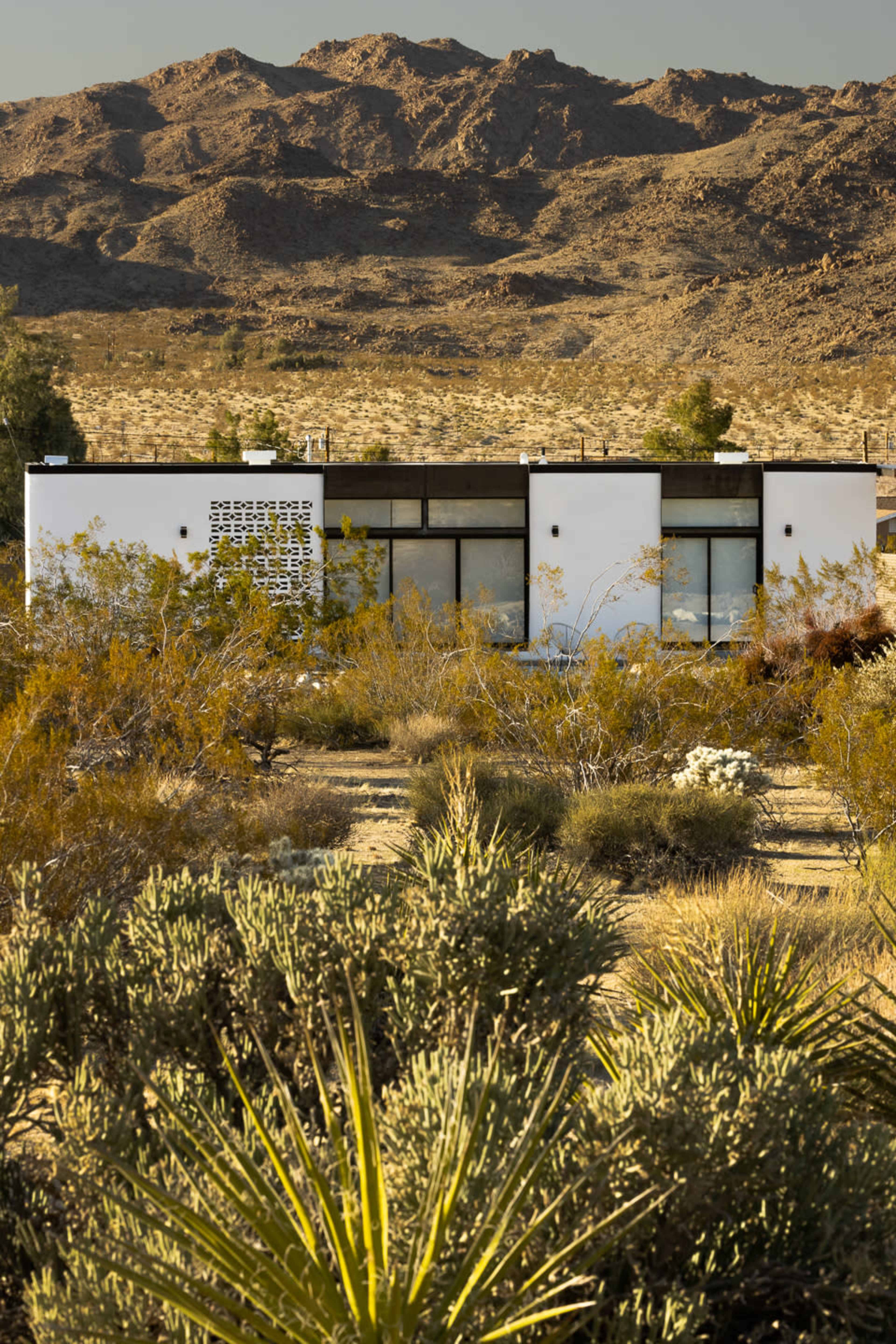 A modern white house with large windows sits amid desert vegetation and mountains in the background.