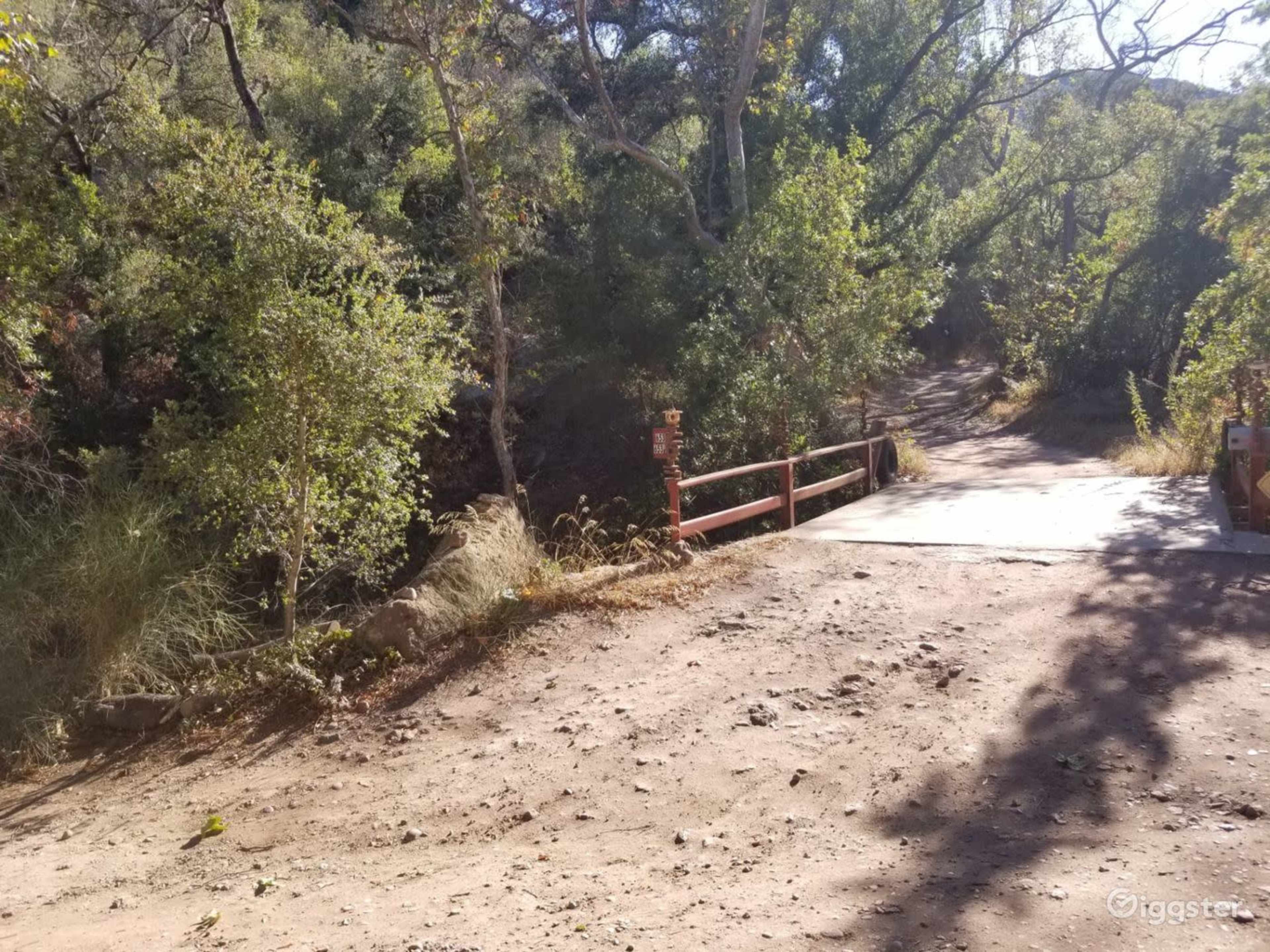 A wooden bridge leads over a dirt path surrounded by trees and sparse vegetation.