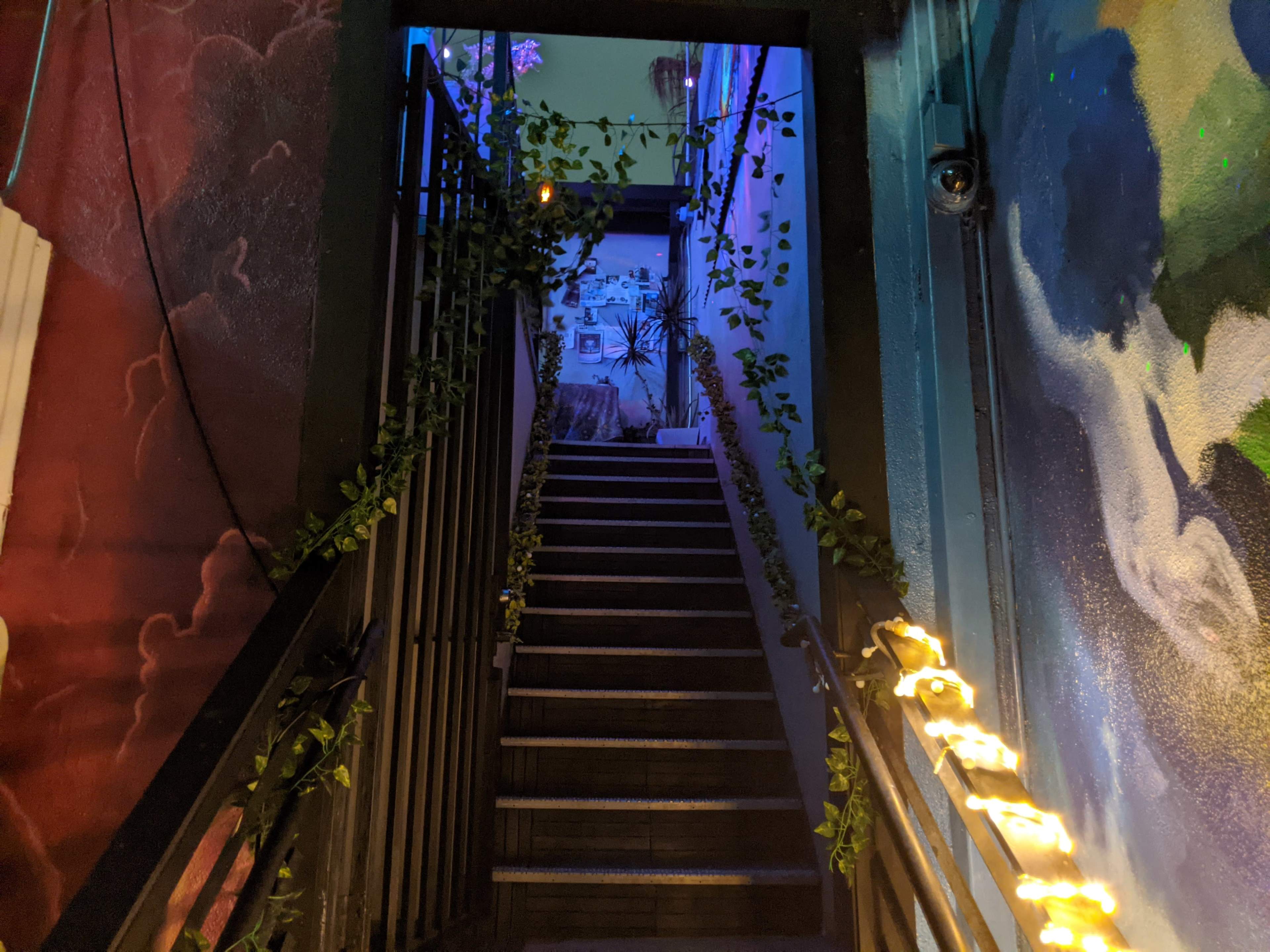 A staircase with wooden steps is illuminated by colorful lights and adorned with greenery, leading upwards between painted walls.