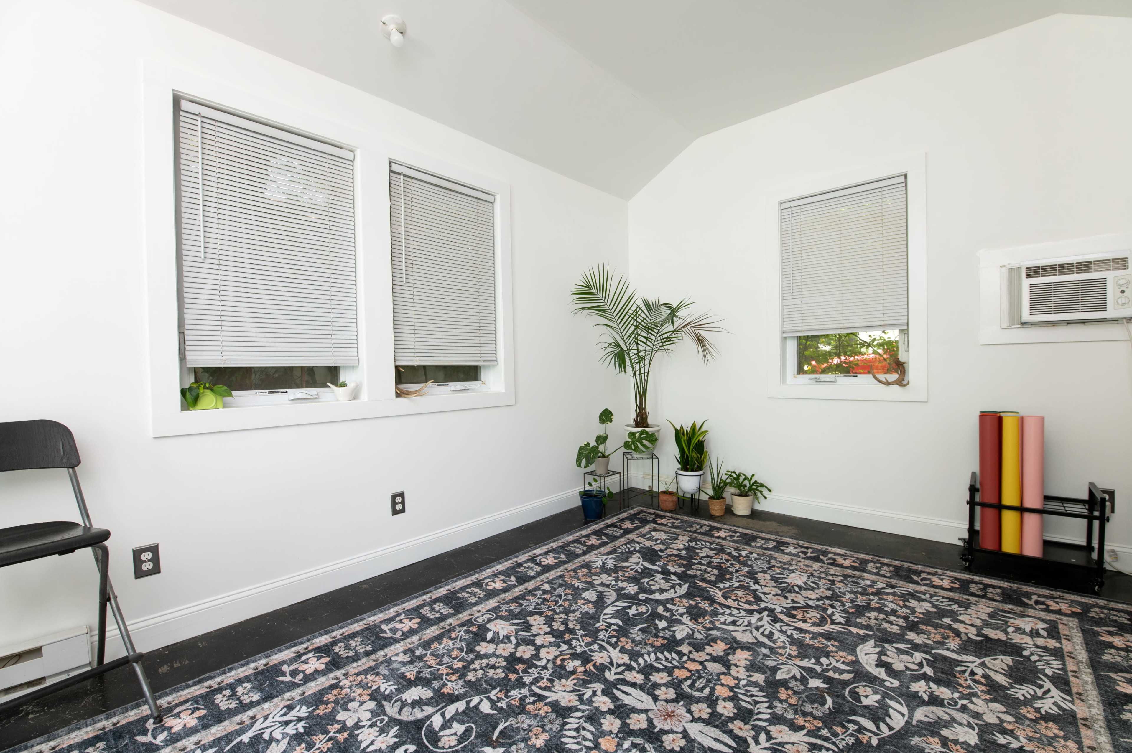 The image depicts a bright, minimalist room featuring three windows, a small palm plant, potted greenery, and exercise equipment against one wall, with a patterned rug covering the floor.