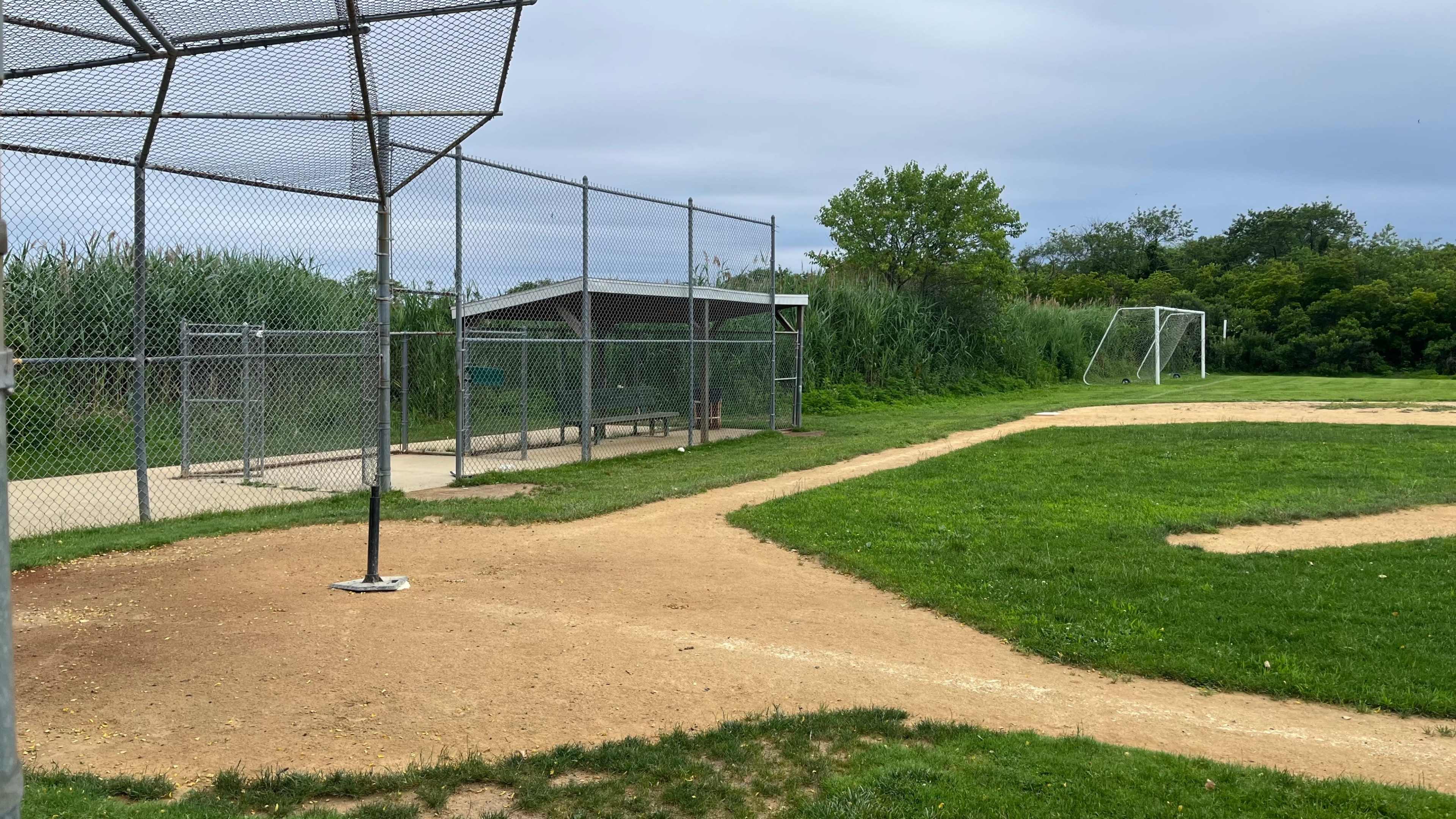 The image shows a baseball field with a pitcher's mound, a dugout area, and a backdrop of tall grass and trees.