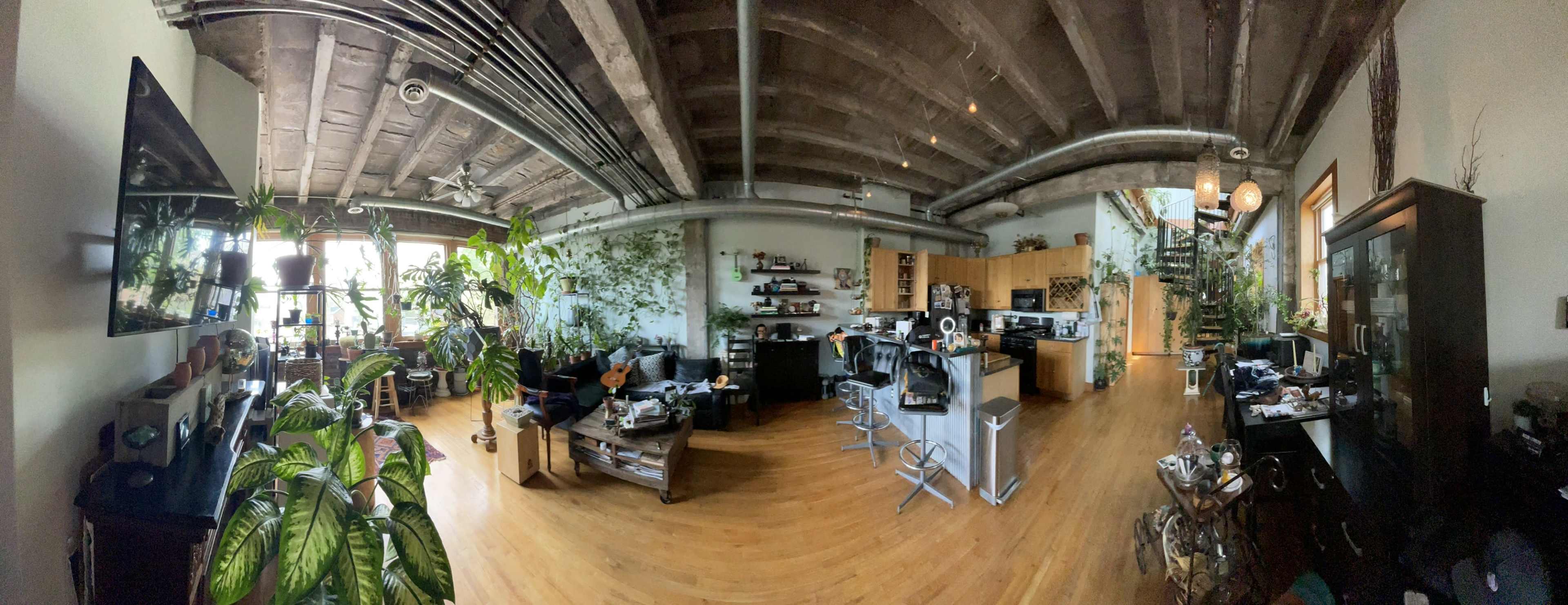 The image shows a spacious, open-concept living area featuring wood flooring, numerous plants, and a kitchen area with modern appliances.