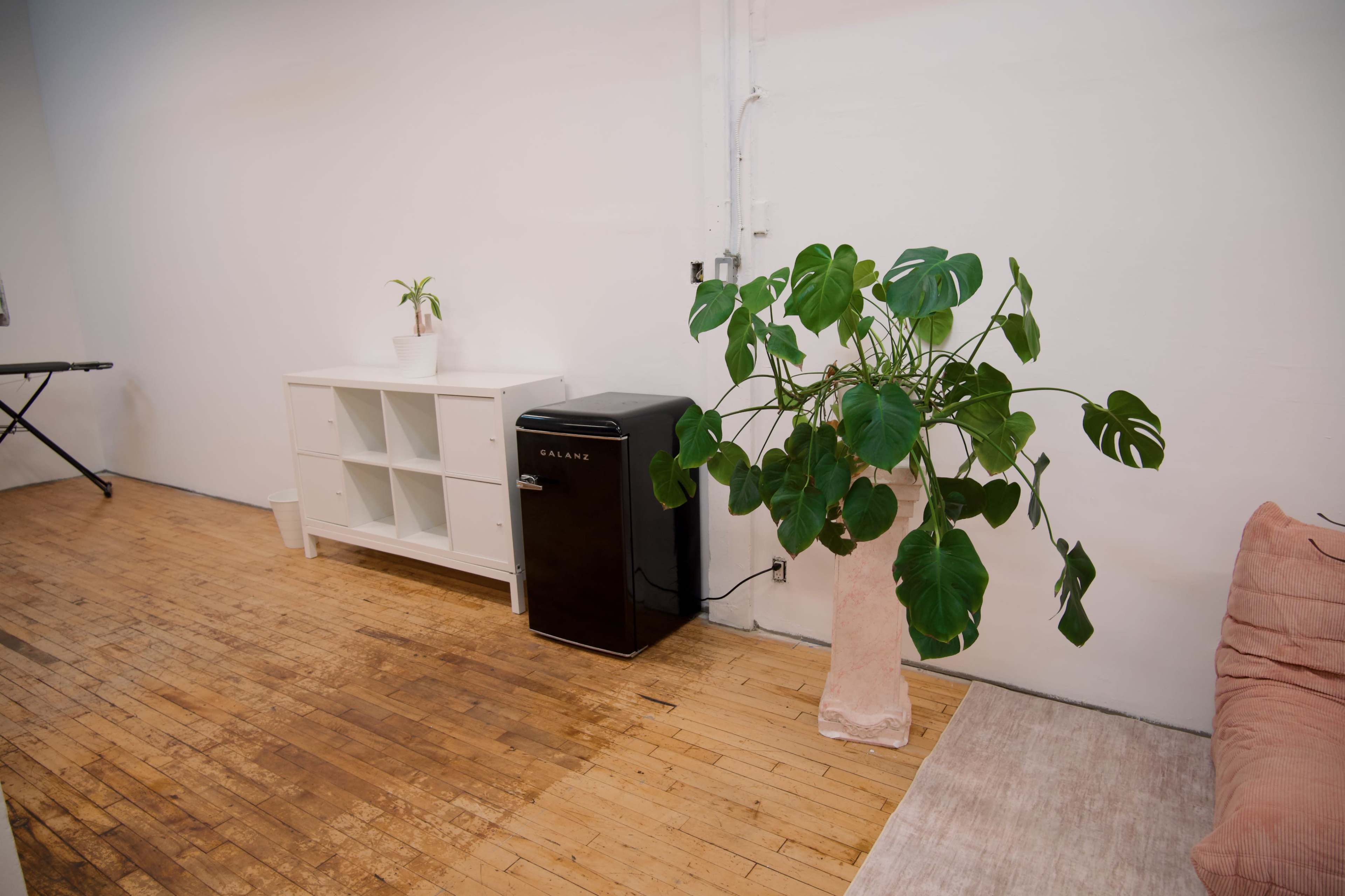 The image shows a minimalistic interior space with a wooden floor, featuring a black refrigerator, a white shelving unit, a large potted plant, and a light-colored couch.