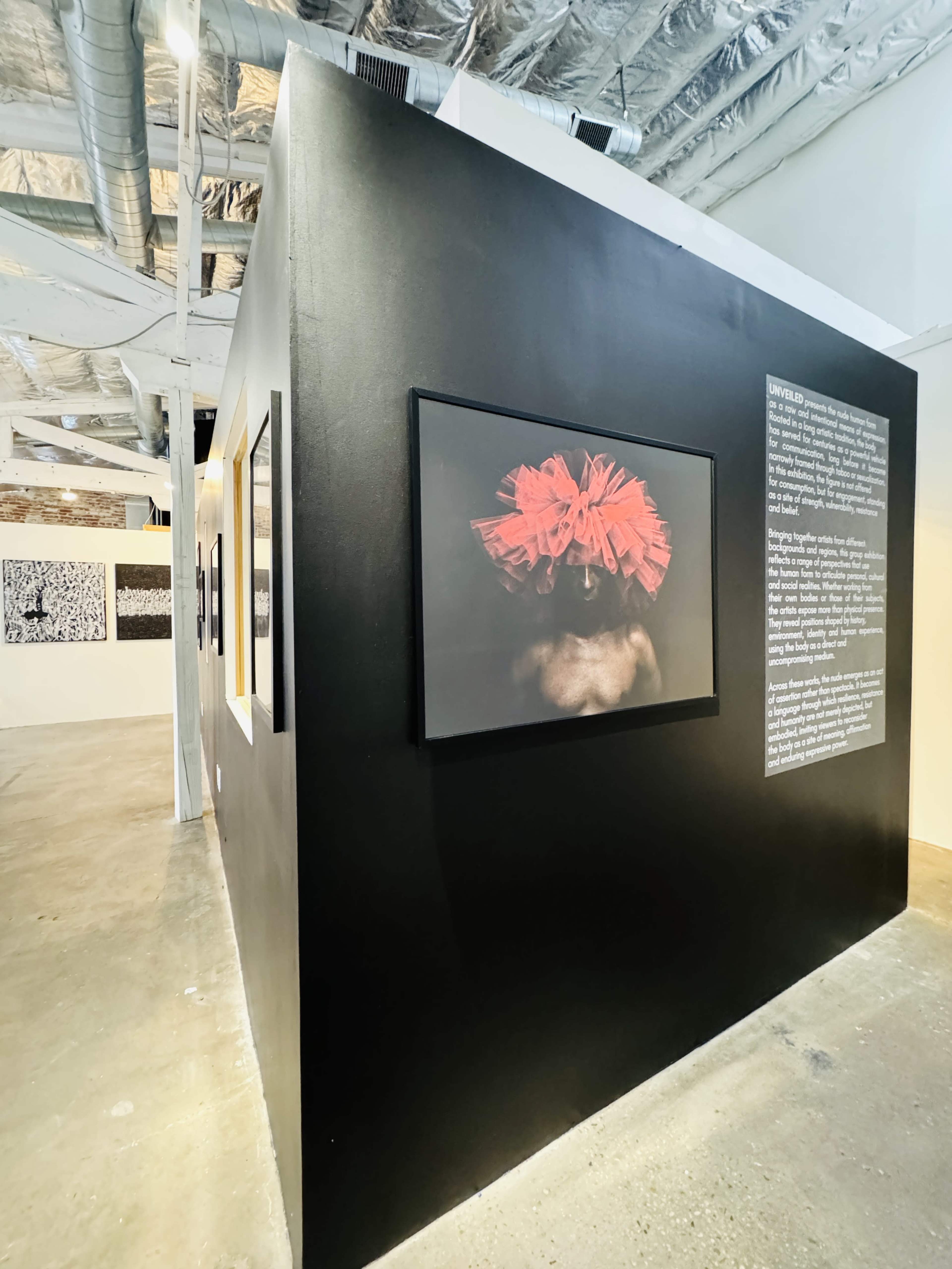 The image shows an interior of an art gallery with a black wall displaying a framed artwork featuring a figure adorned with a red flower headpiece, along with additional artworks visible in the background.