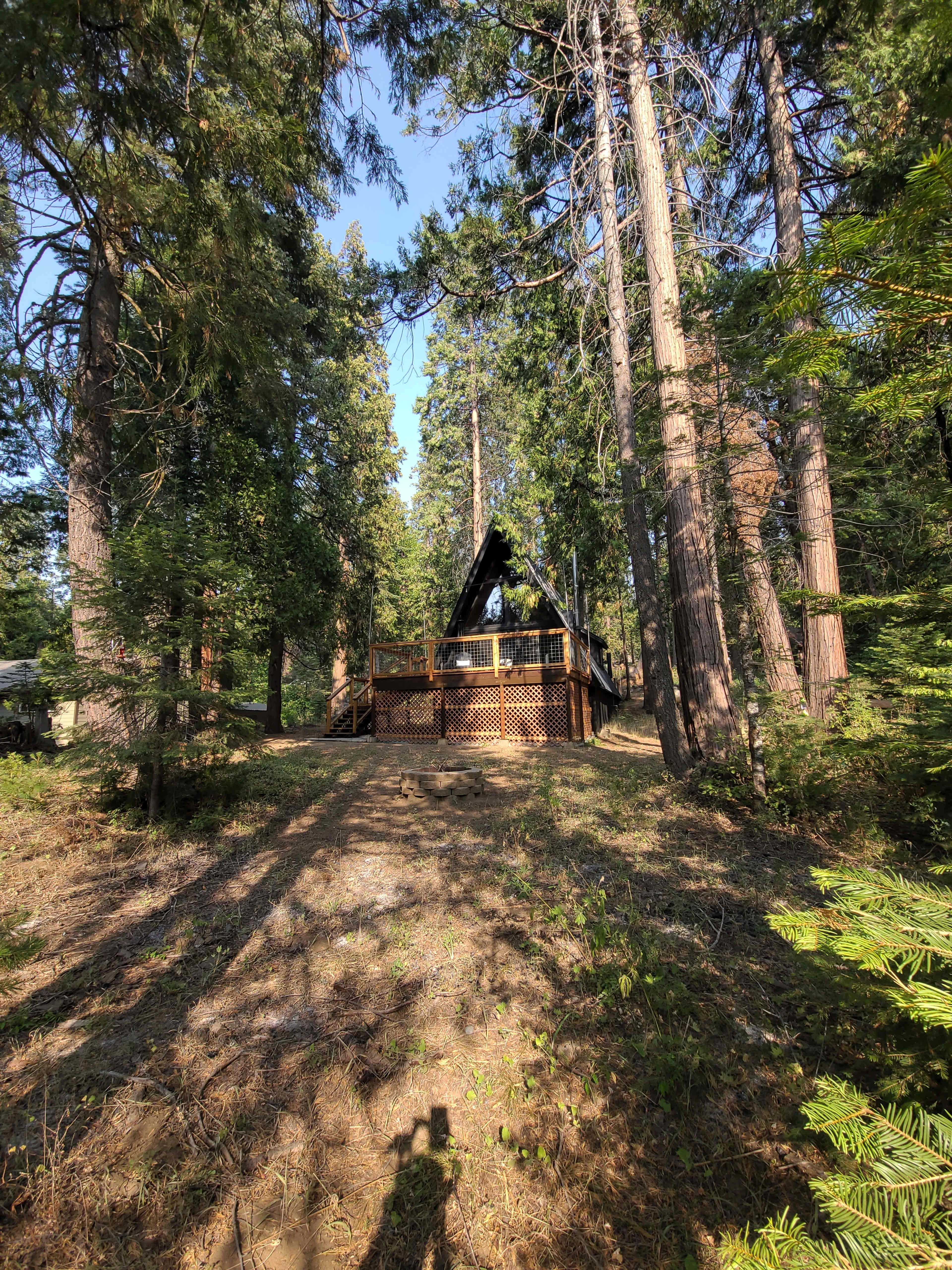 A wooden A-frame cabin is situated among tall pine trees on a grassy incline.