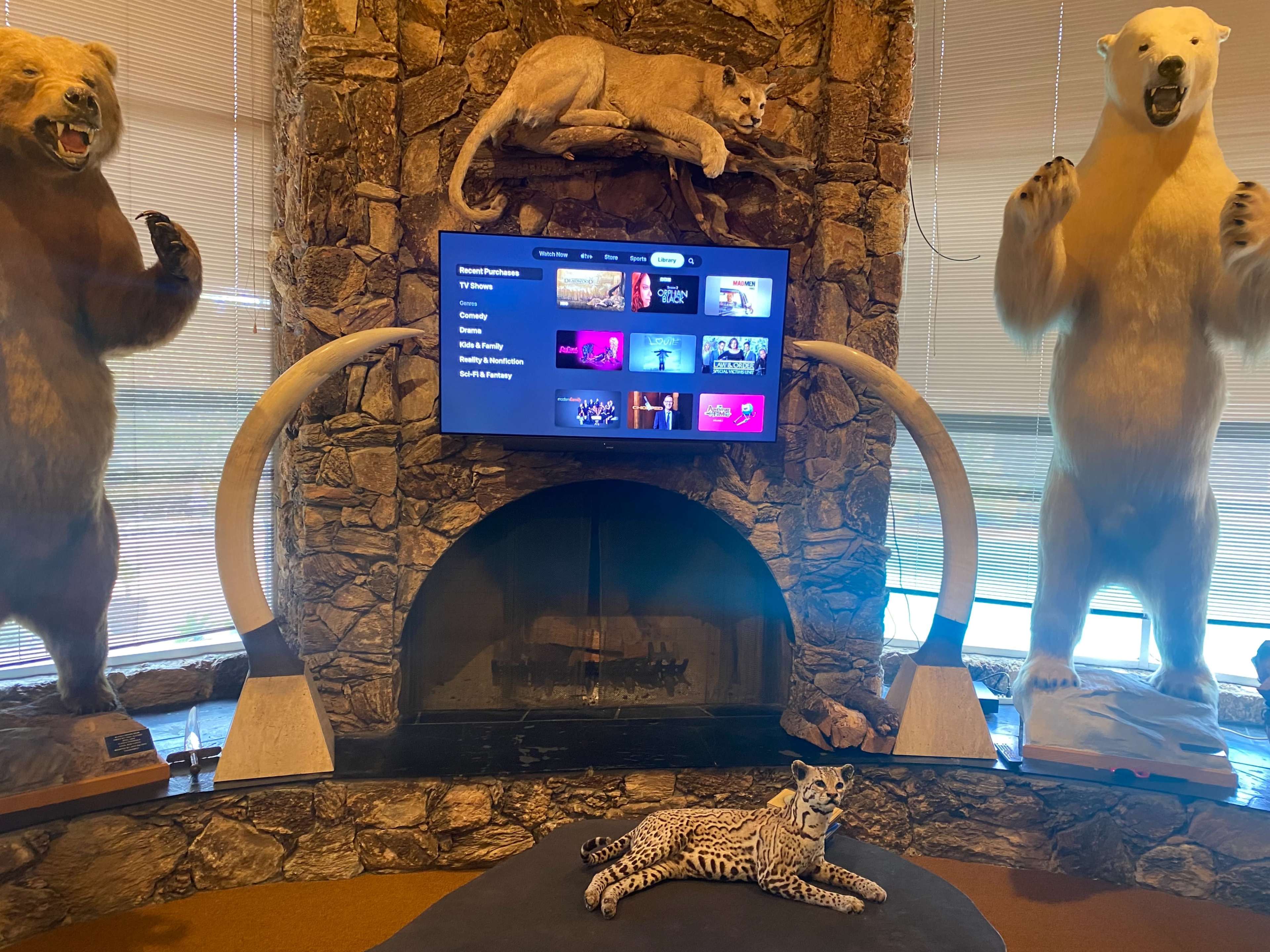 The scene features a stone fireplace with a large flat-screen TV mounted above it, flanked by two taxidermied polar bears and a snow leopard lounging on a rug in front.