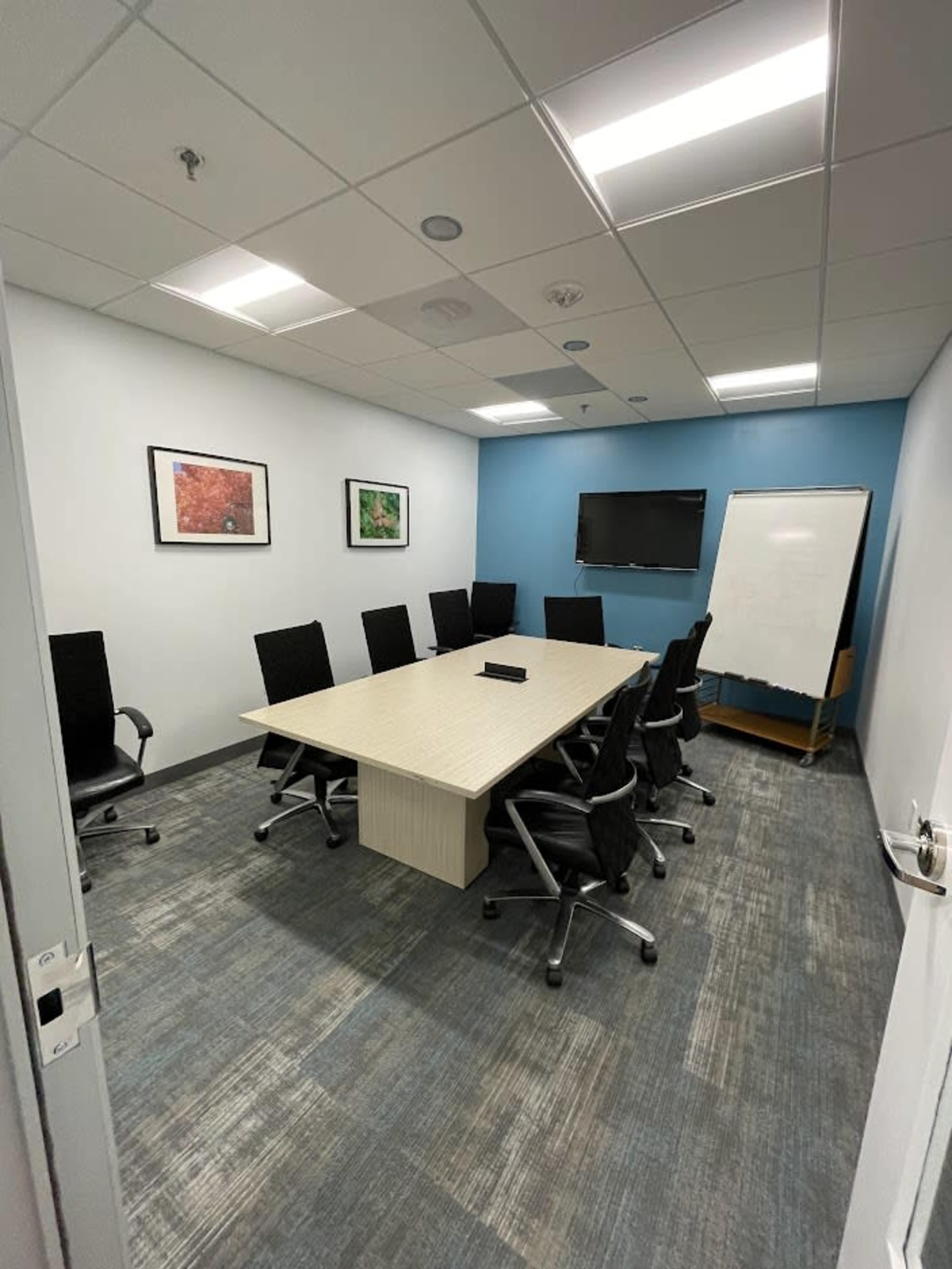 A conference room with a long table surrounded by black chairs, a television mounted on the wall, and a whiteboard on a mobile stand.