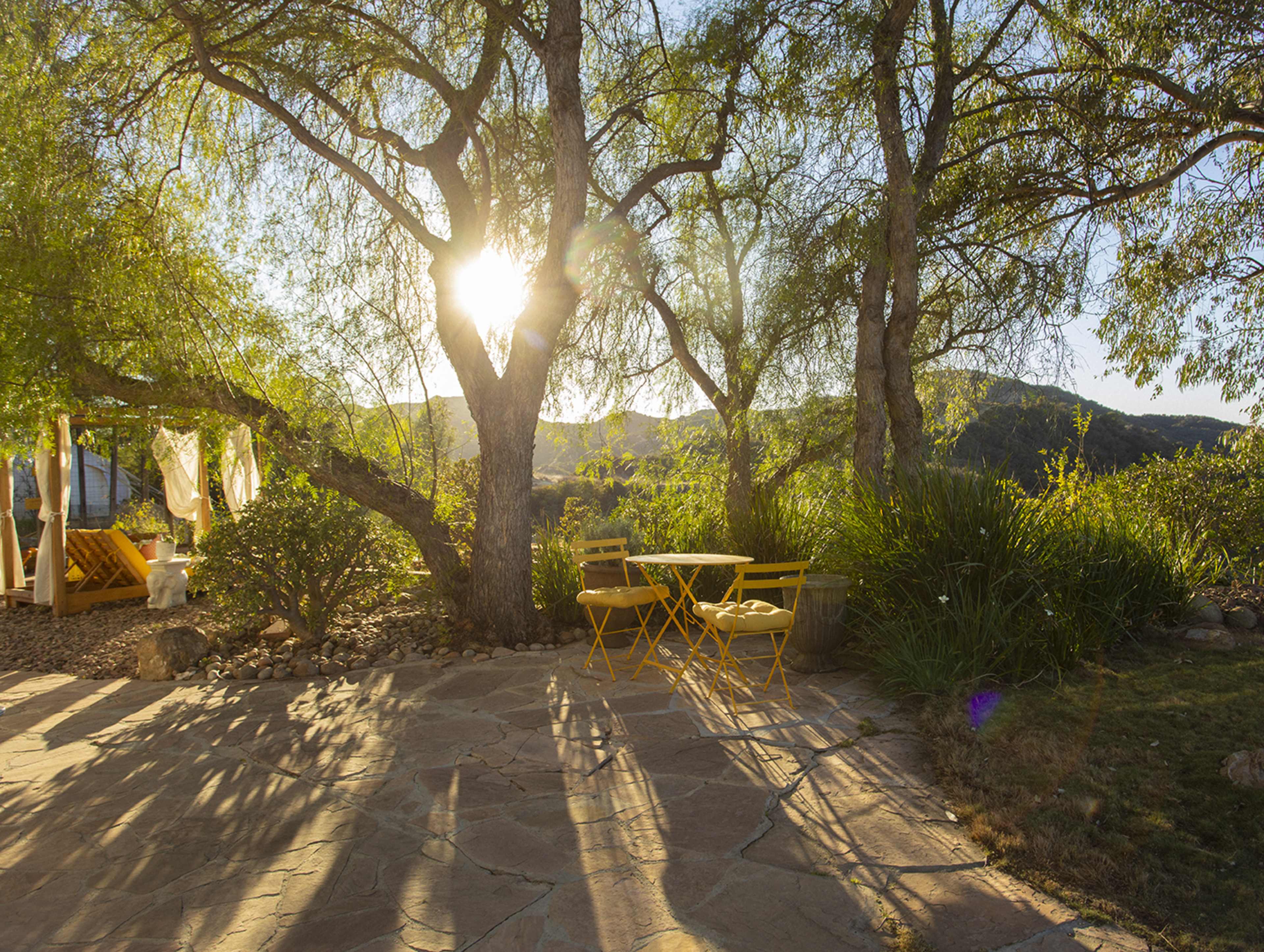 A small yellow table and chairs are set under a large tree, with sunlight filtering through the leaves and casting shadows on the stone patio.