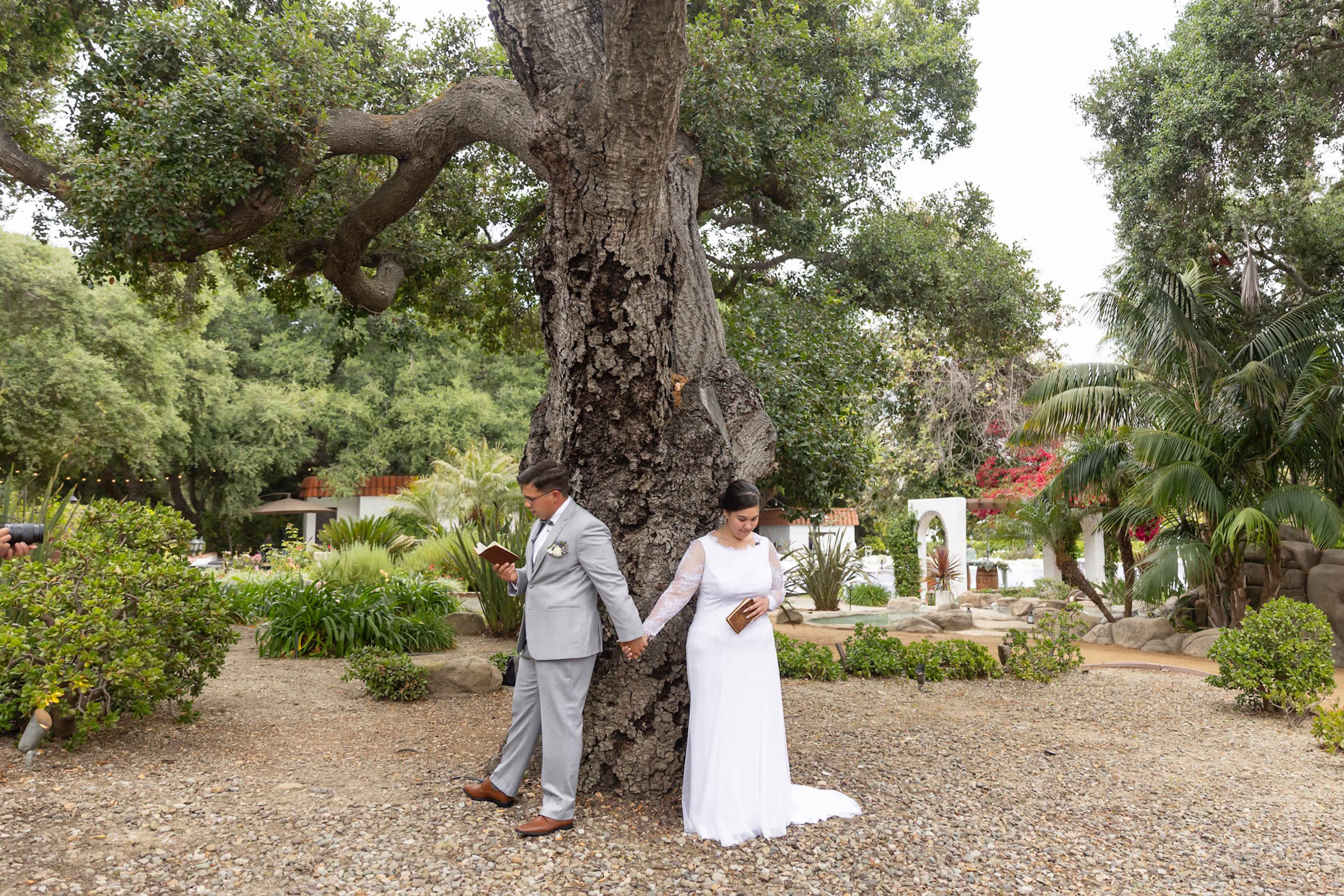 A bride in a white gown and a groom in a gray suit stand on either side of a large tree, holding hands while looking away from each other.