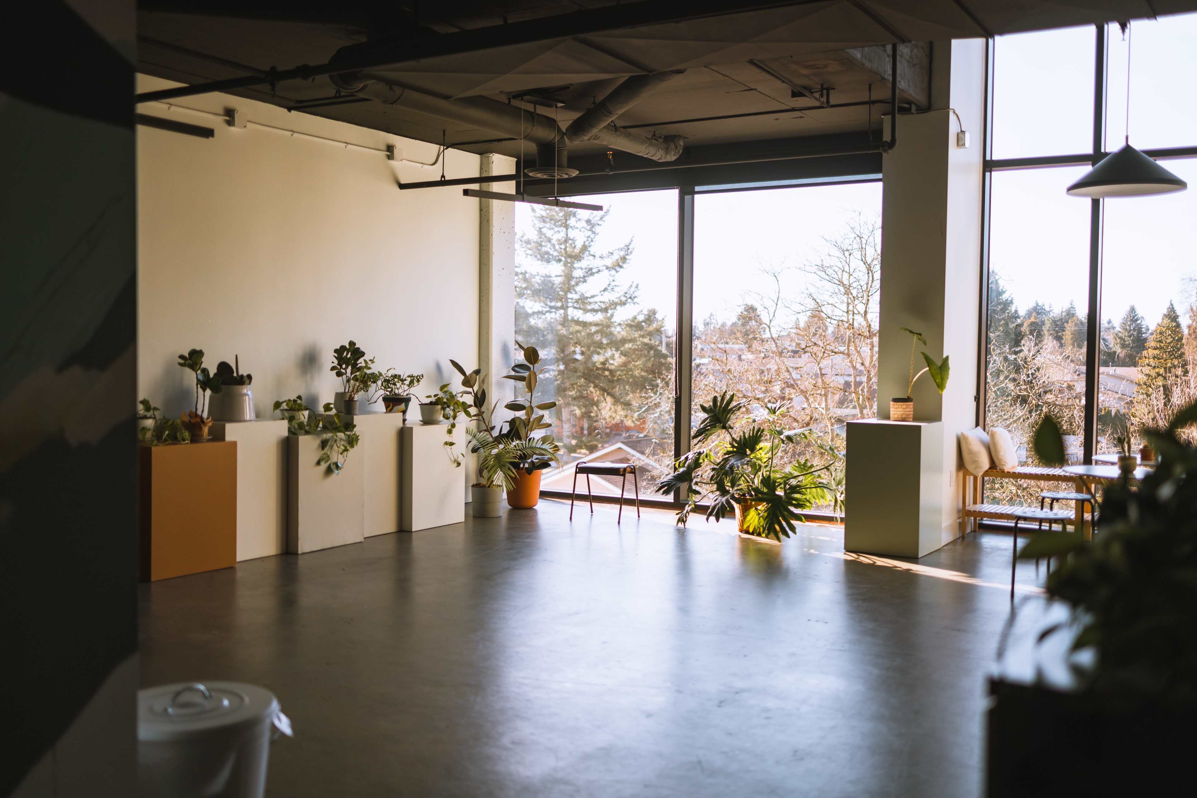 A spacious, well-lit room with large windows, filled with plants and minimalist furniture.